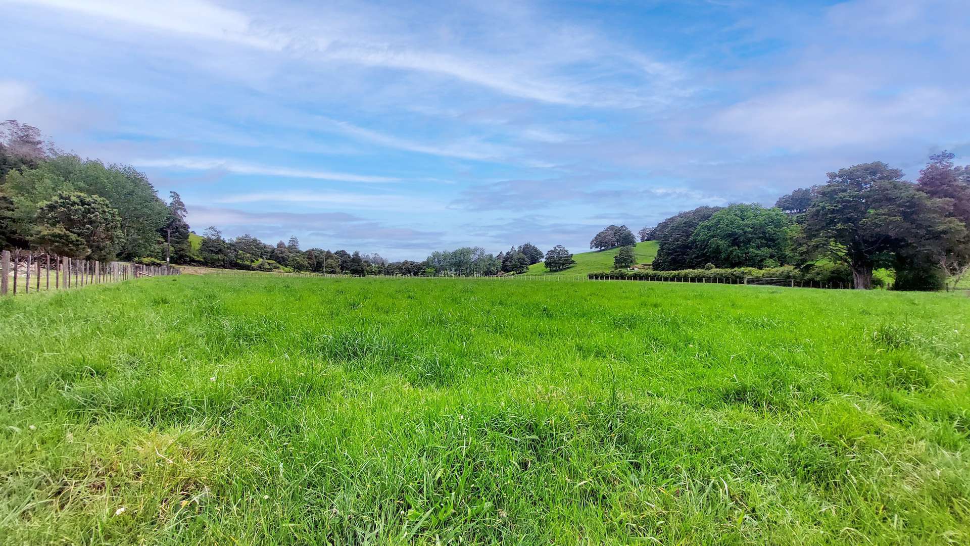 1366 Hukerenui Road photo 30