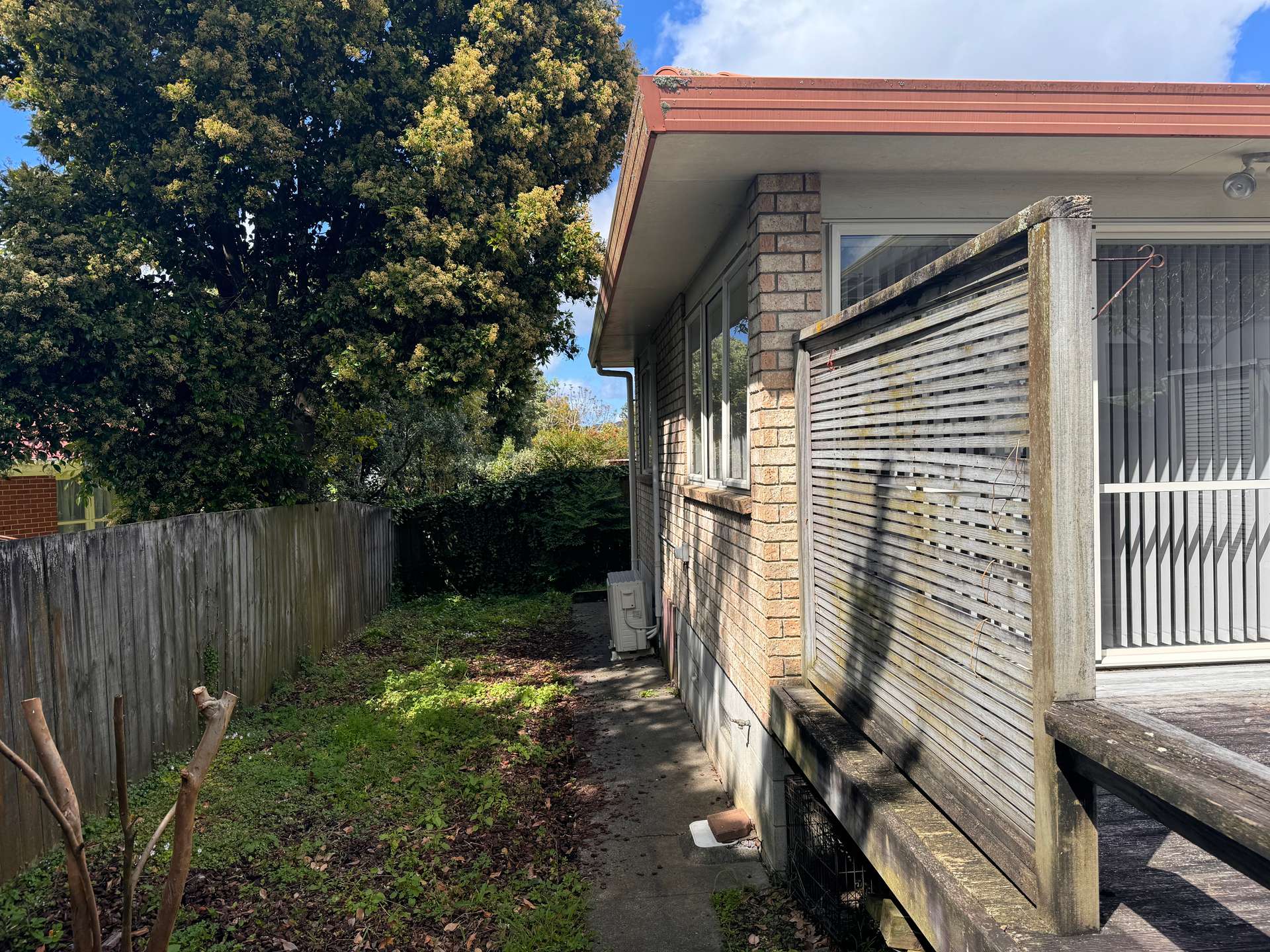 203A Te Atatu Road photo 12