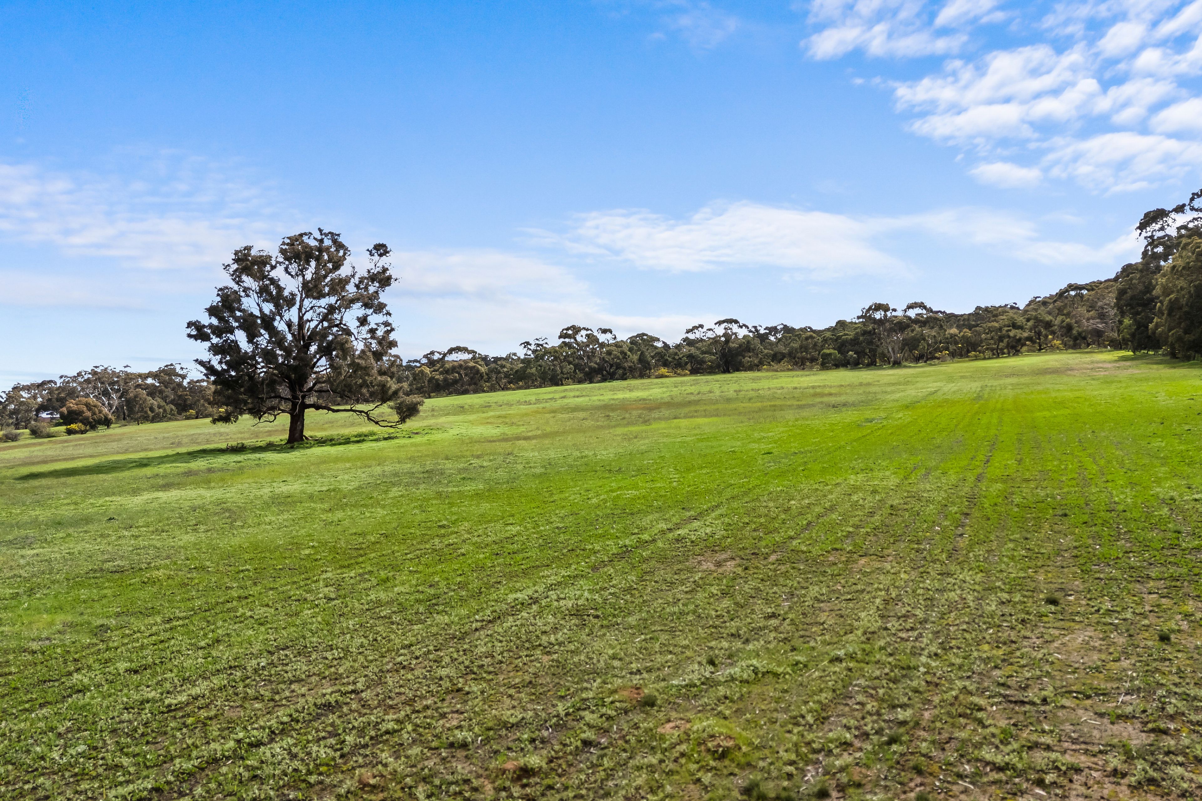 Lots 1-4 & 6-10 Ararat Road — photo 7 of 11