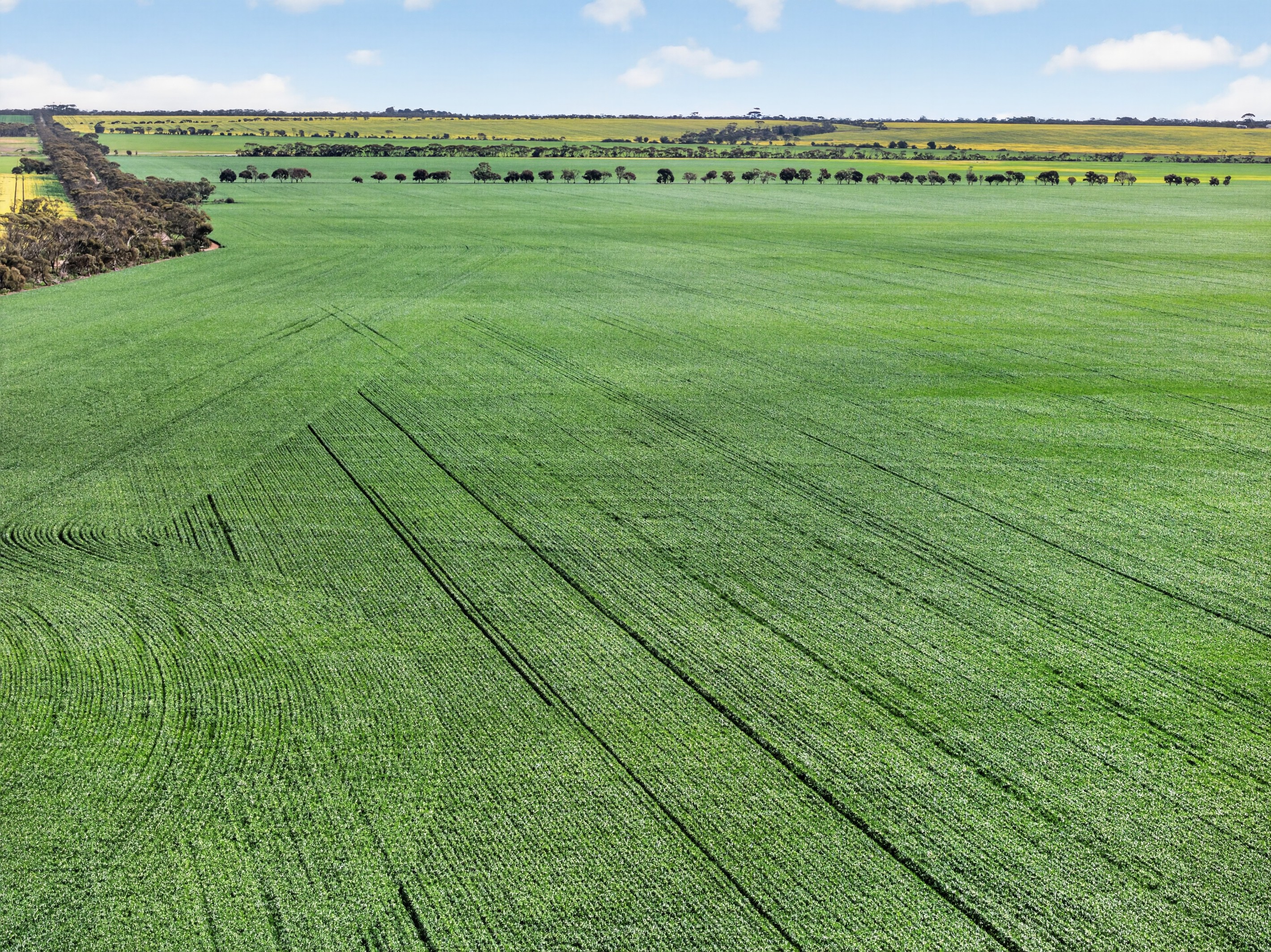 'Watervalley Farm' Broster Road, Maitland, SA 5573