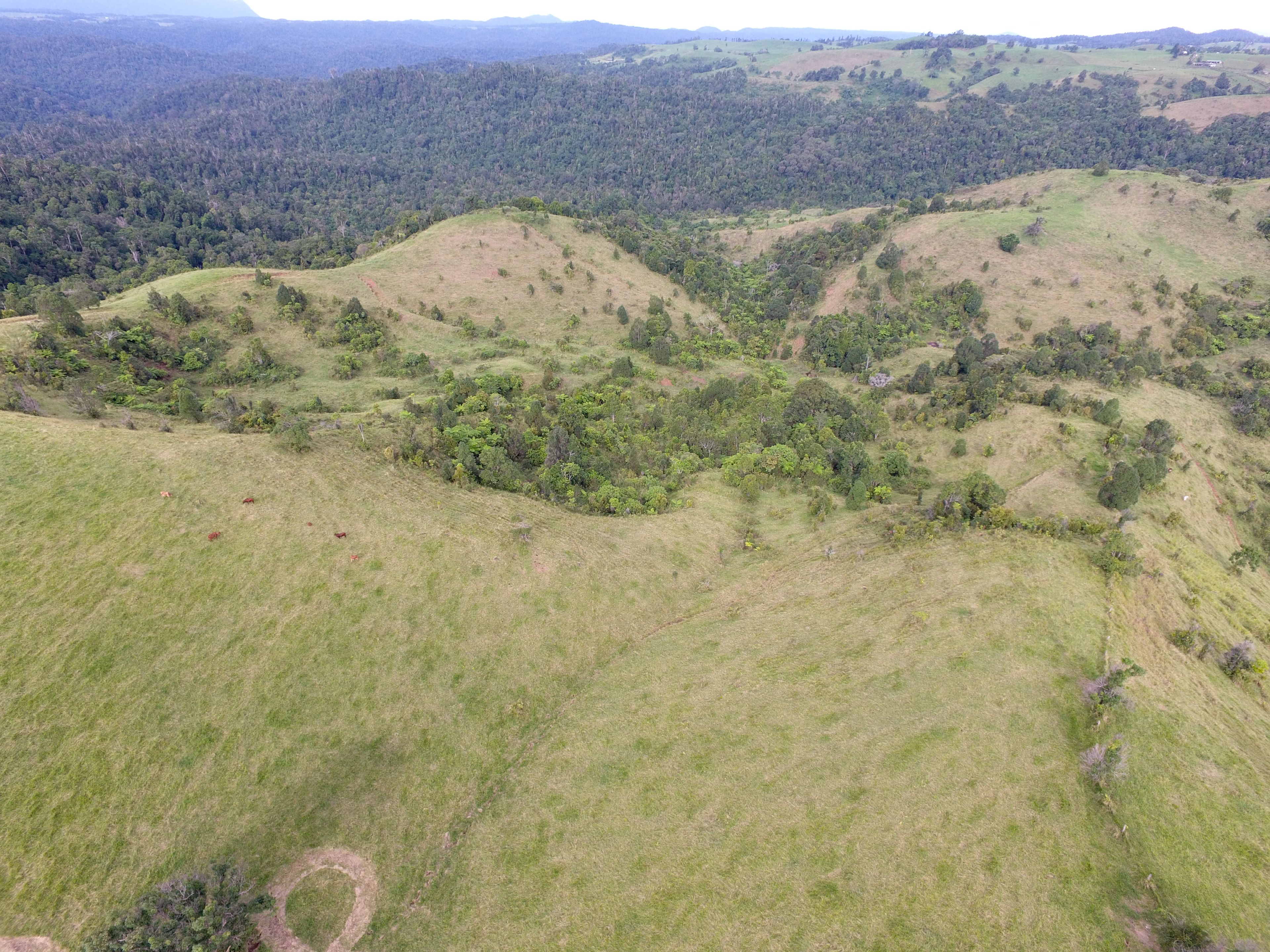 "Gilalli" - 306 Hitchconole Road, Tarzali, QLD 4885 - Sold 