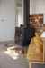 10 Lindoch Avenue photo 28