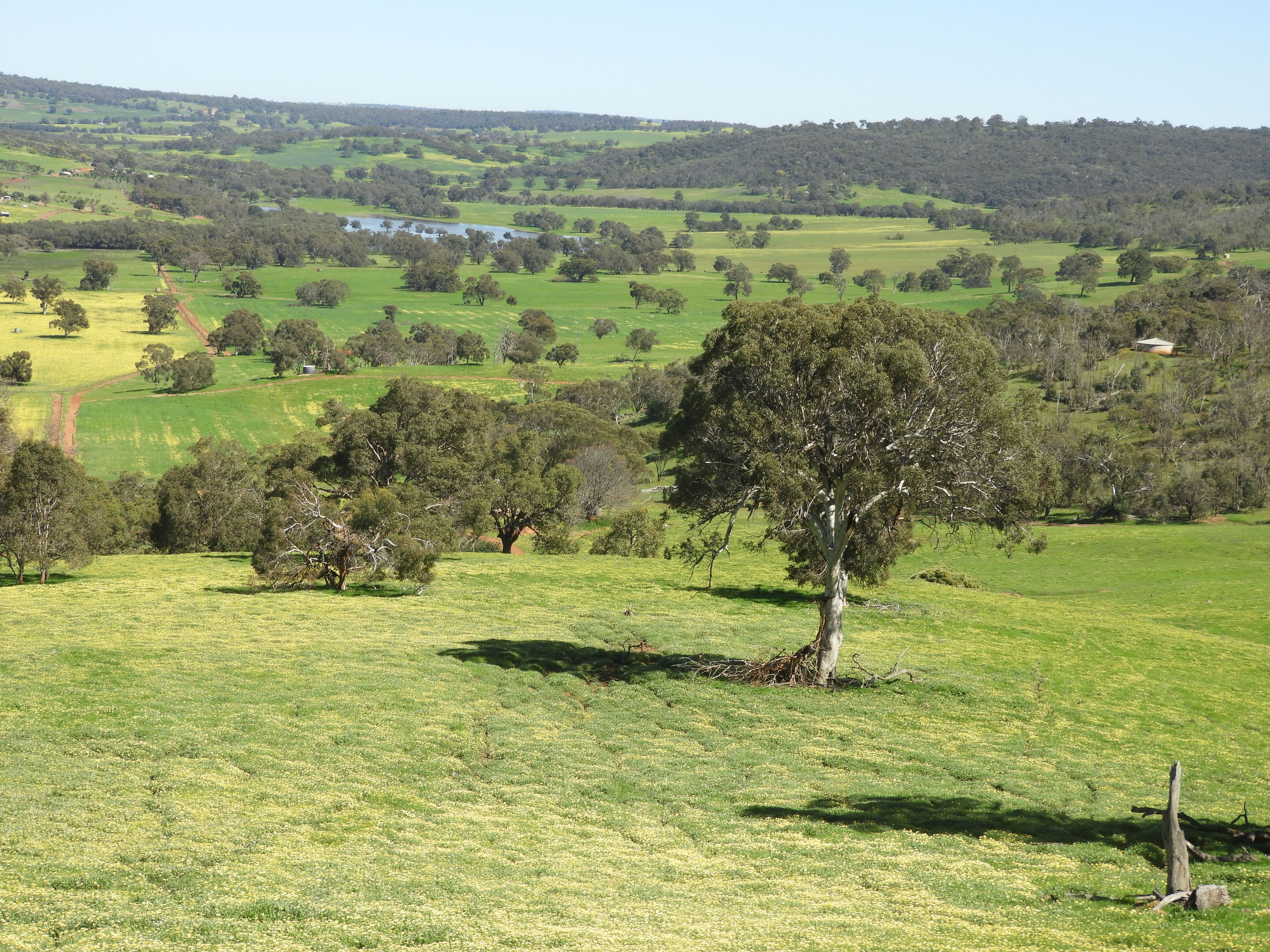 The Breakaway, Great Northern Highway , Bindoon WA 6502