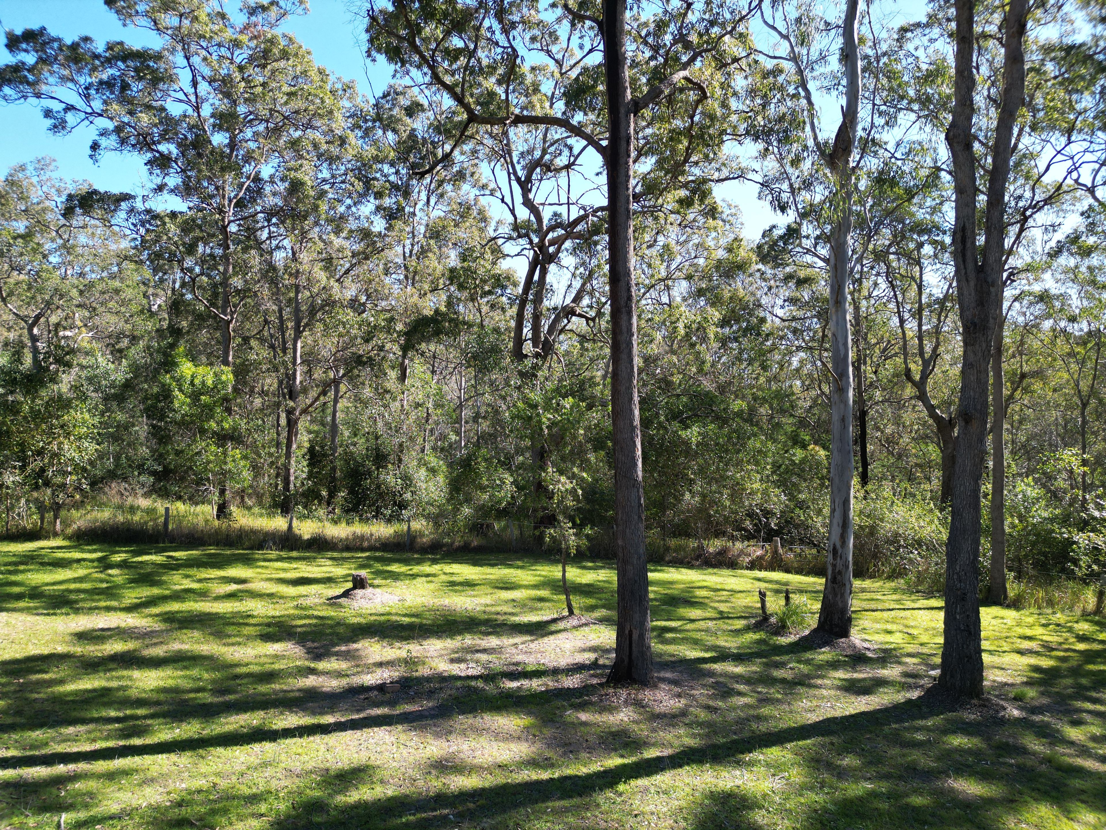 2445 Busbys Flat Road — photo 3 of 24