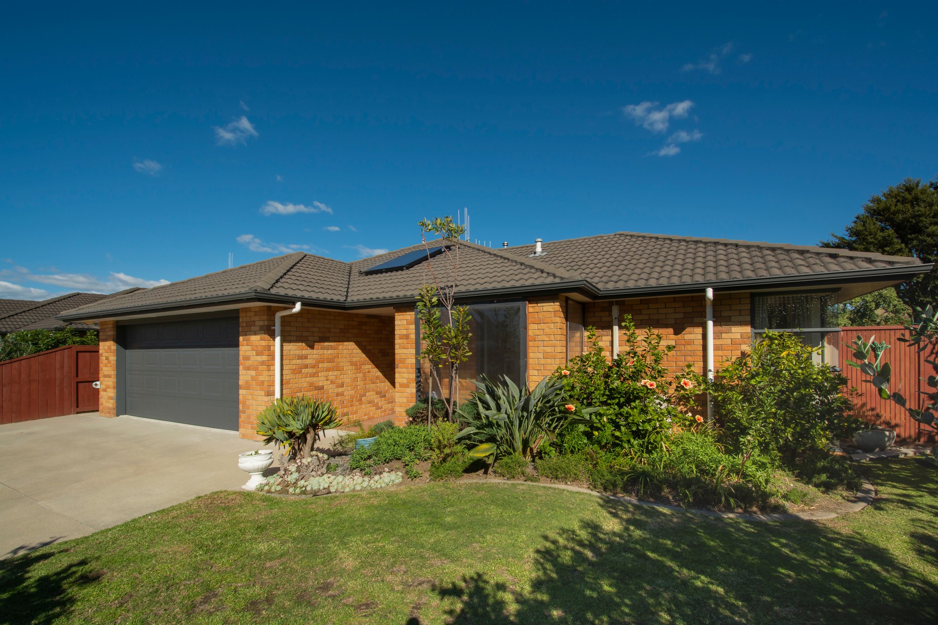 8 Pat Bishop Place, Papamoa, Bay of Plenty
