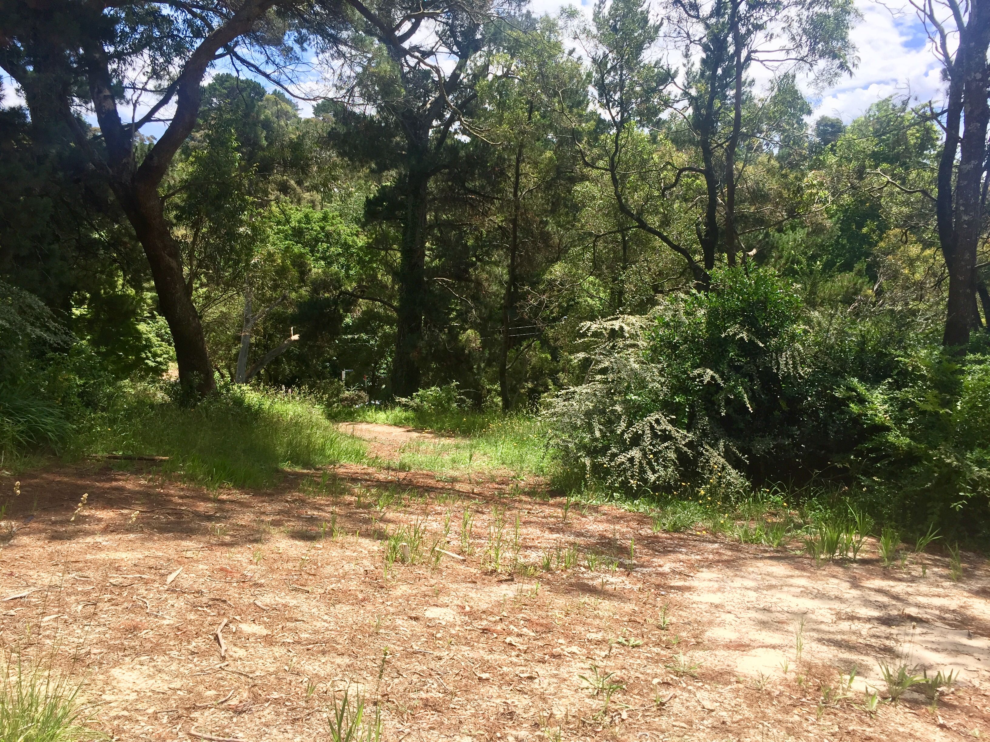 22 Gardiners Crescent, Blackheath NSW 2785