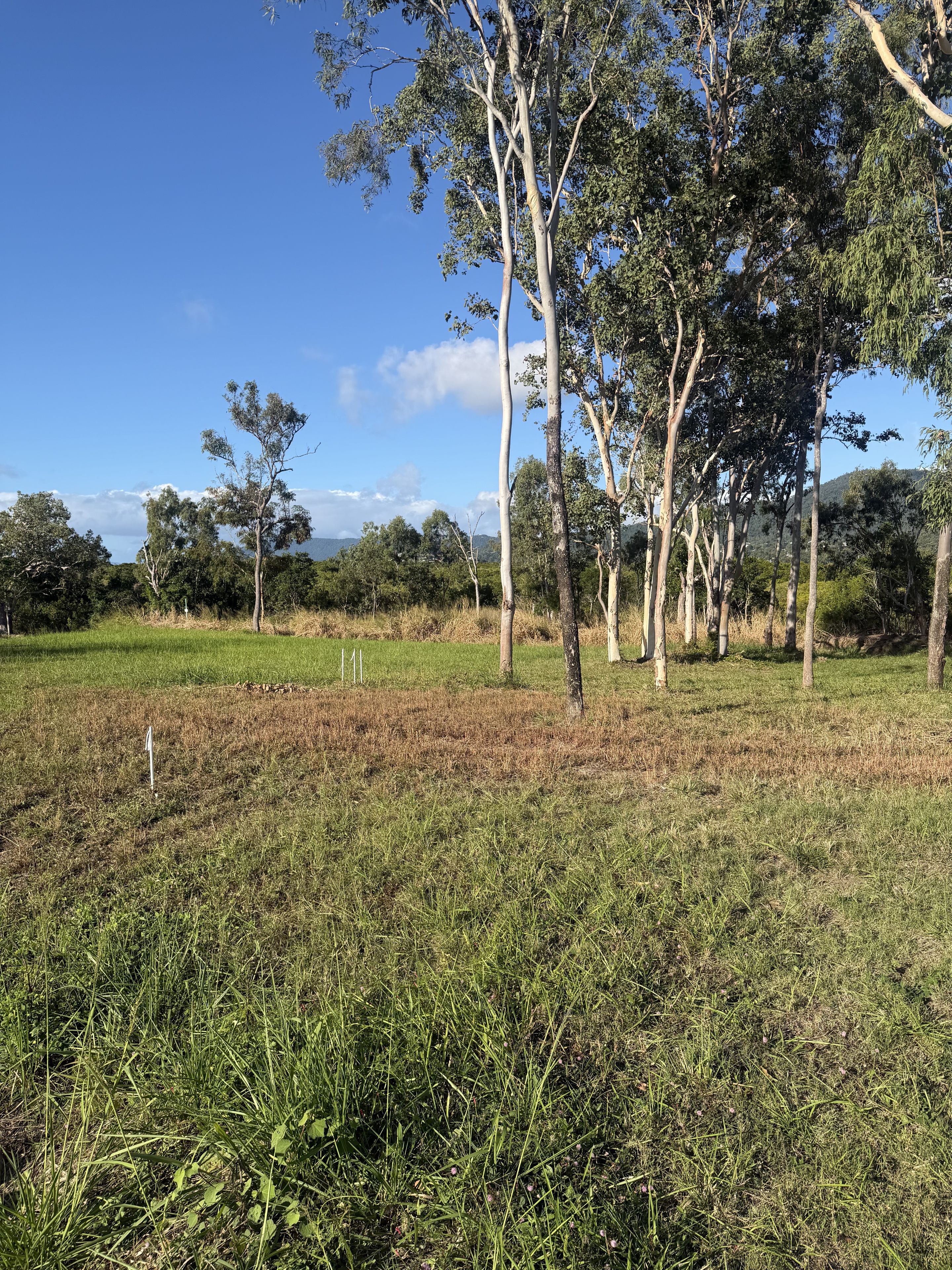 Lot 36 Woodwark Rise — photo 4 of 7