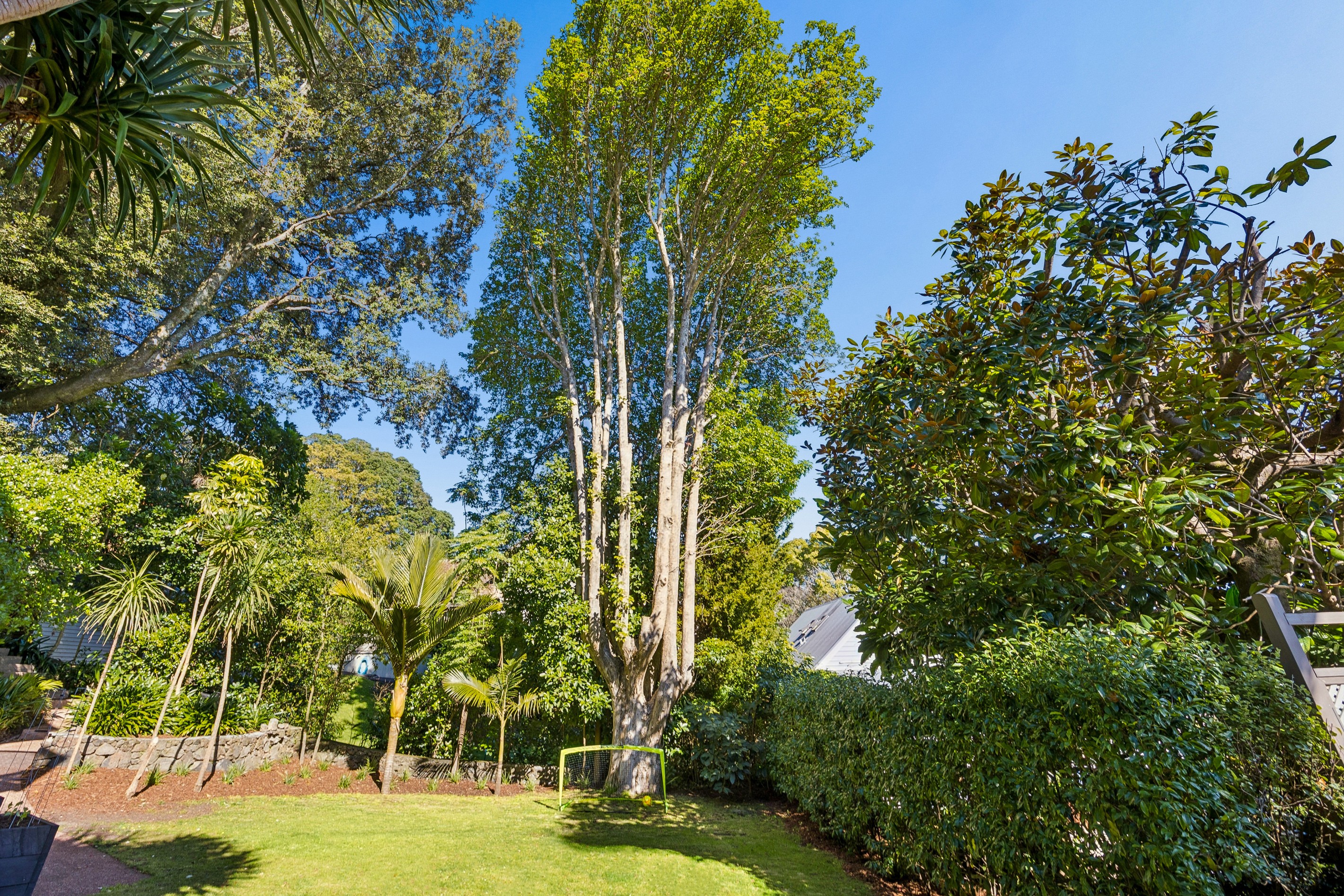 16A Ngauruhoe Street, Mount Eden, Auckland City
