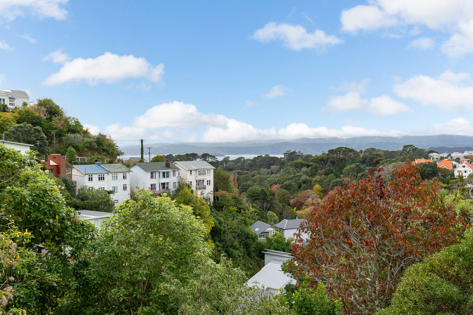 21 Crieff Street, Northland, Wellington City