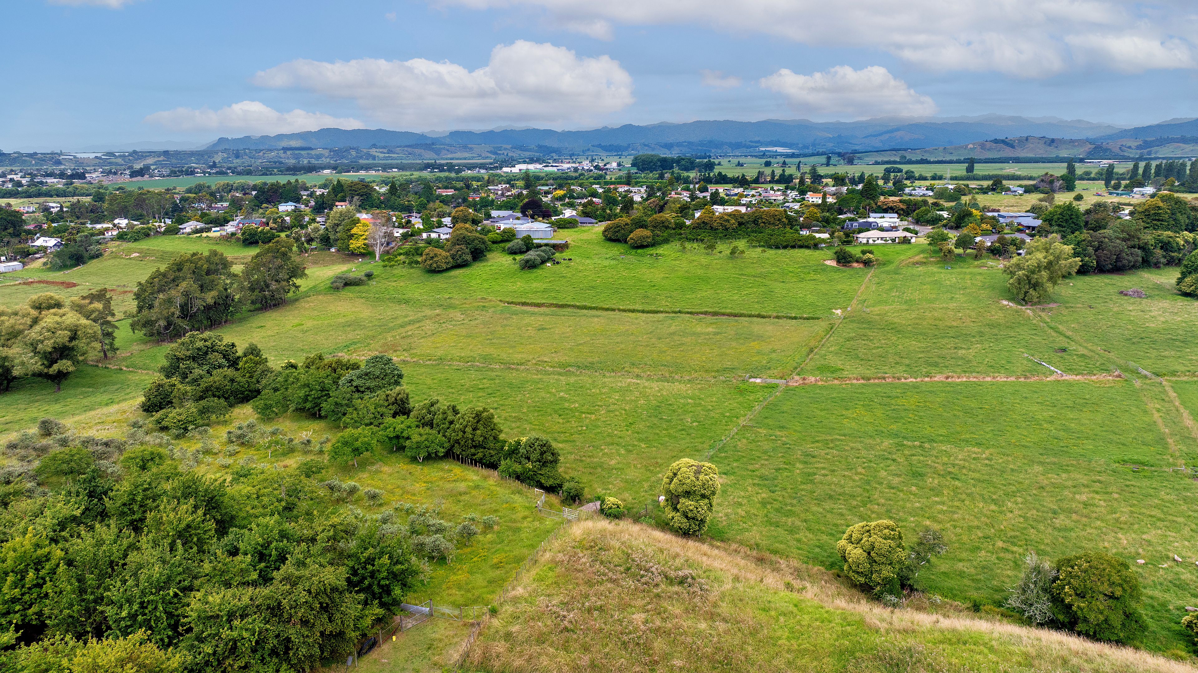 64 Grant Road, Opotiki, Opotiki District 3122 Rural Bare Land