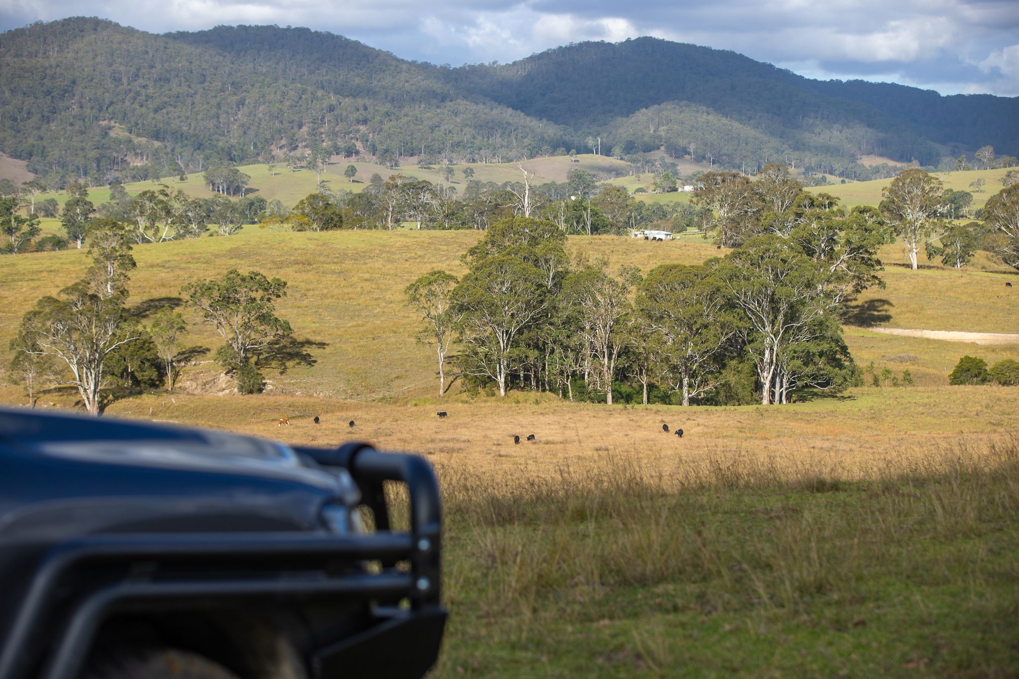 1333 Waukivory Road, Waukivory VIA, Gloucester, NSW 2422