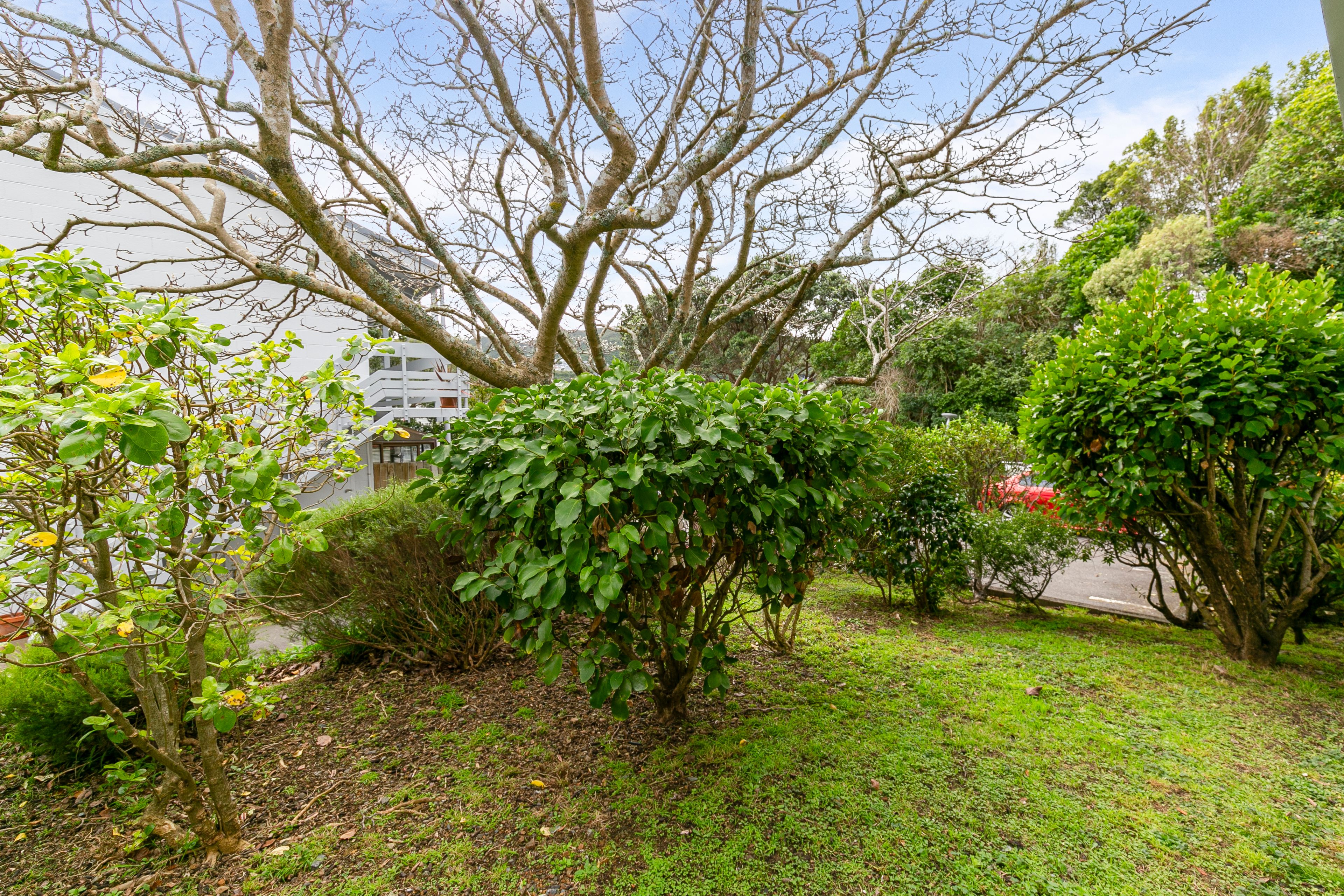 5/51 Bombay Street, Ngaio, Wellington City 6035 House for Sale Ray
