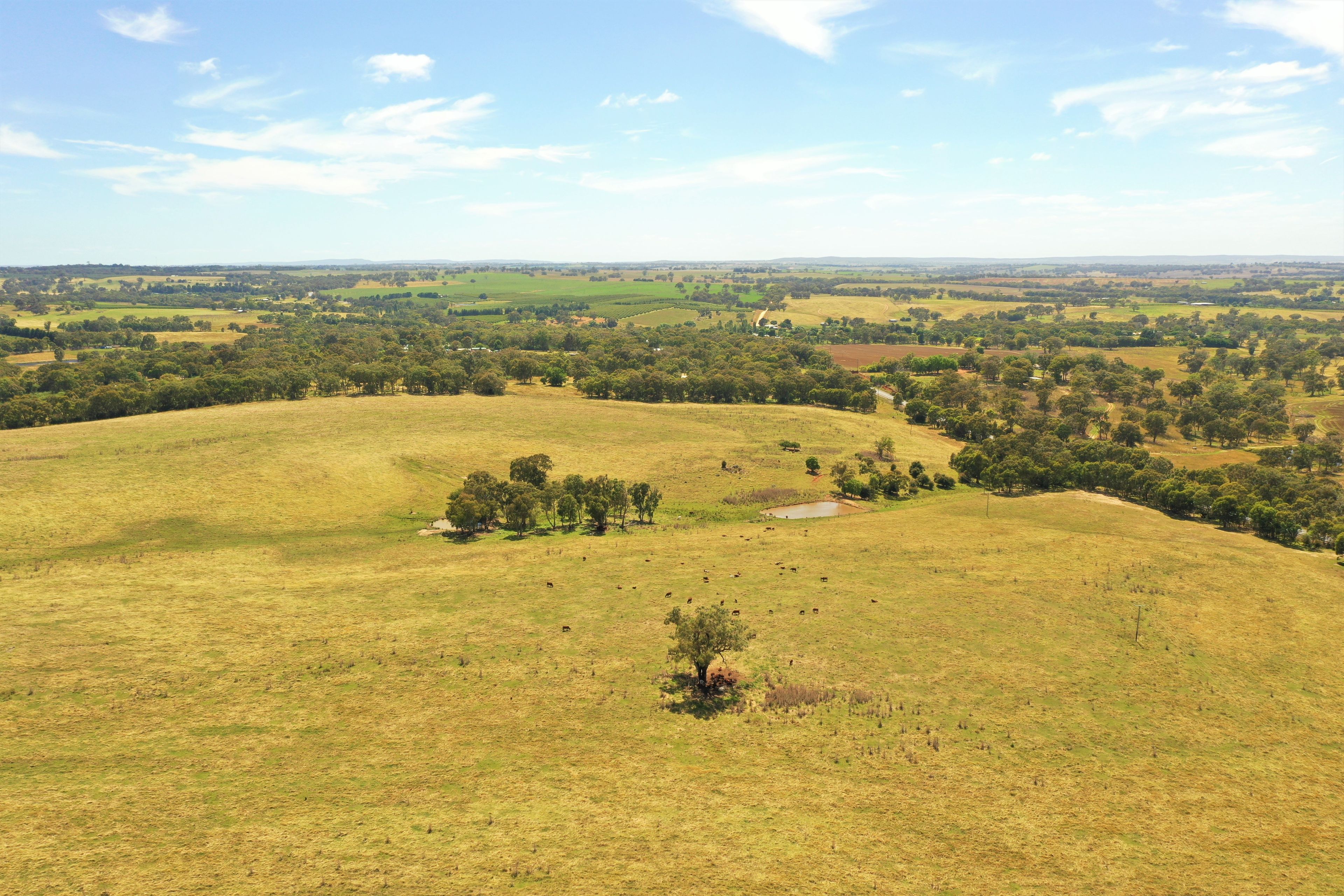 Lots 82, 83 & 84 Olympic Highway, Wombat, NSW 2587 Land for Sale