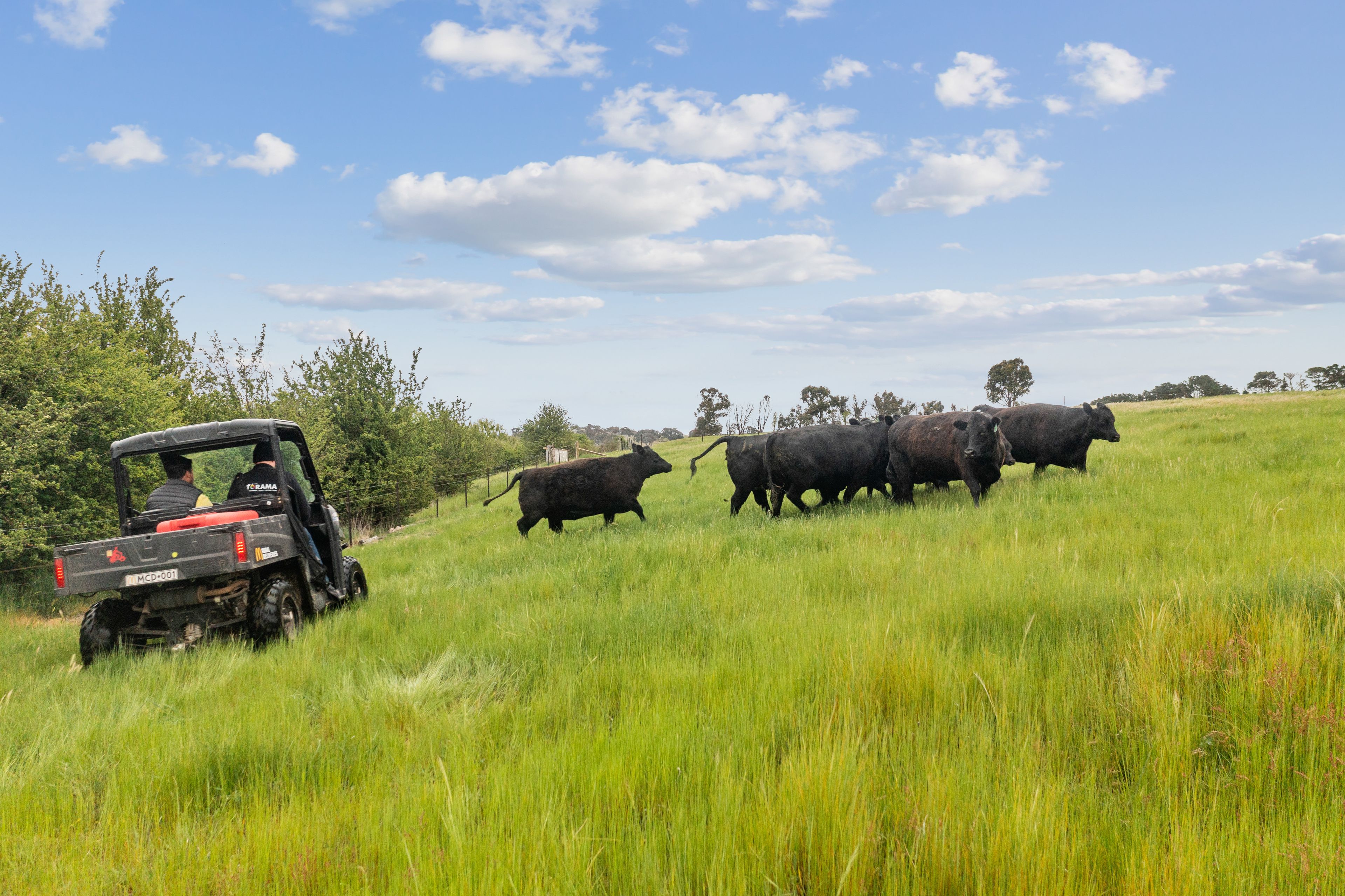317 Gurrundah Road, Goulburn, NSW 2580