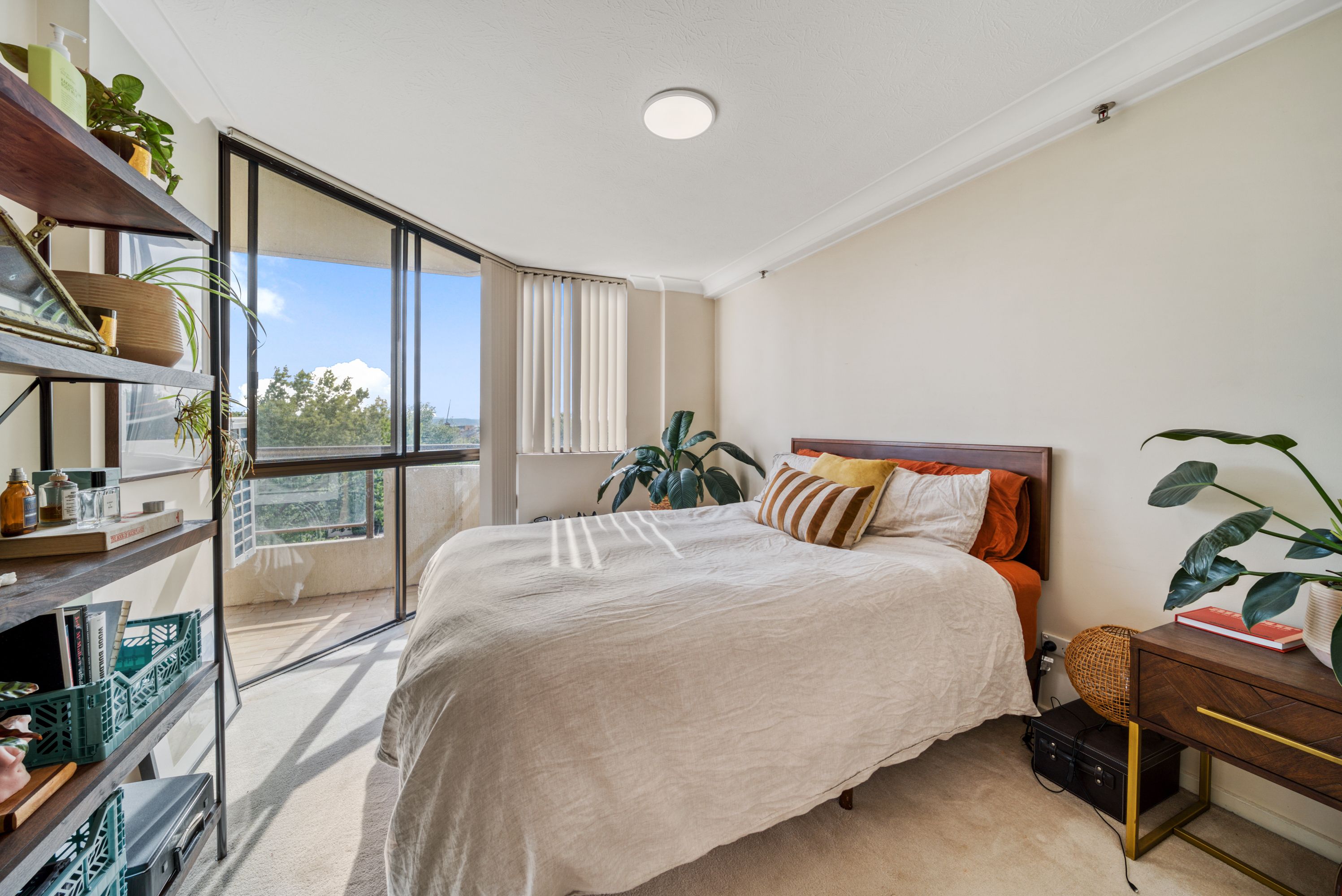 23/4 Jardine Street — photo 9 of 17