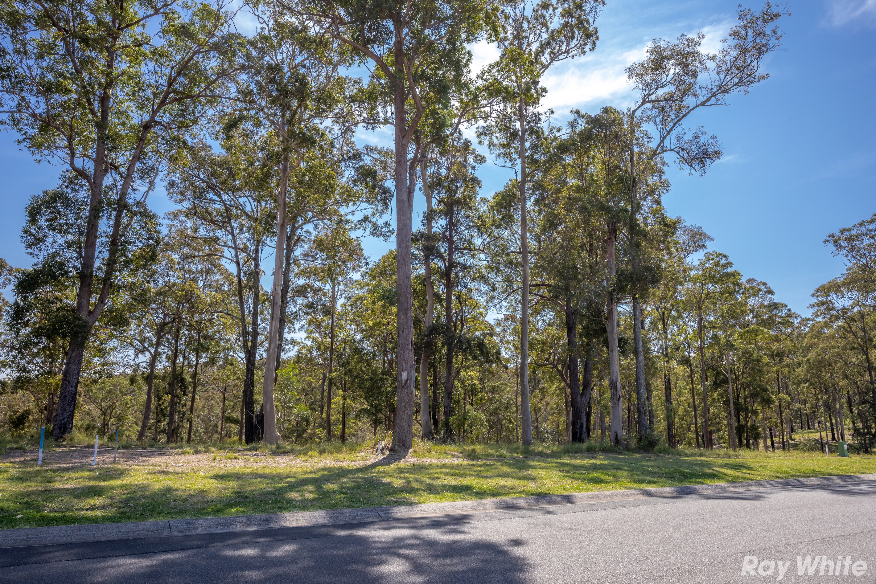 Lot 7 Tallwoods Drive 'Summerland Estate', Hallidays Point, NSW 2430