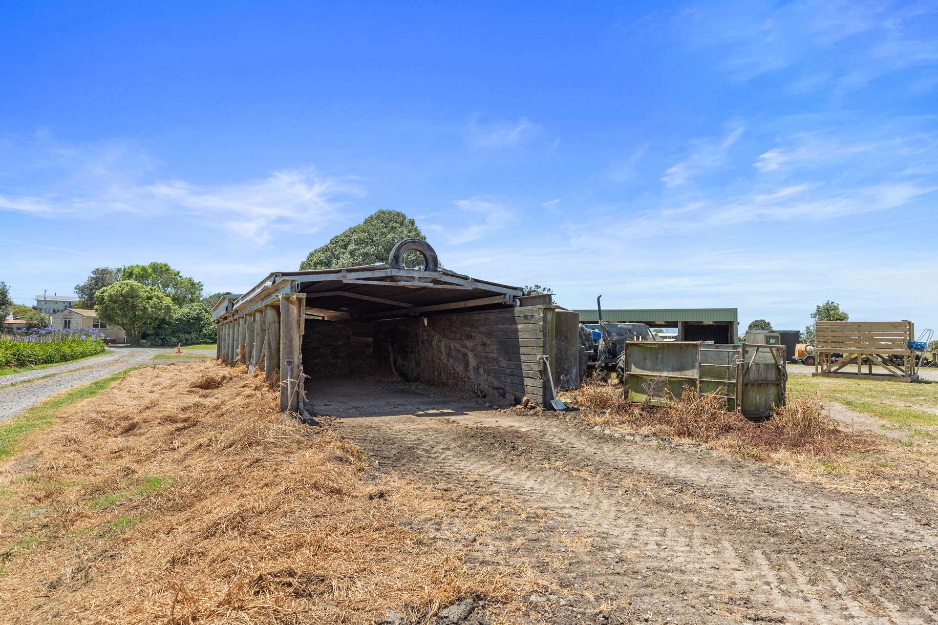 2 Gardiner Place & 307 Pukehina Beach Road photo 9