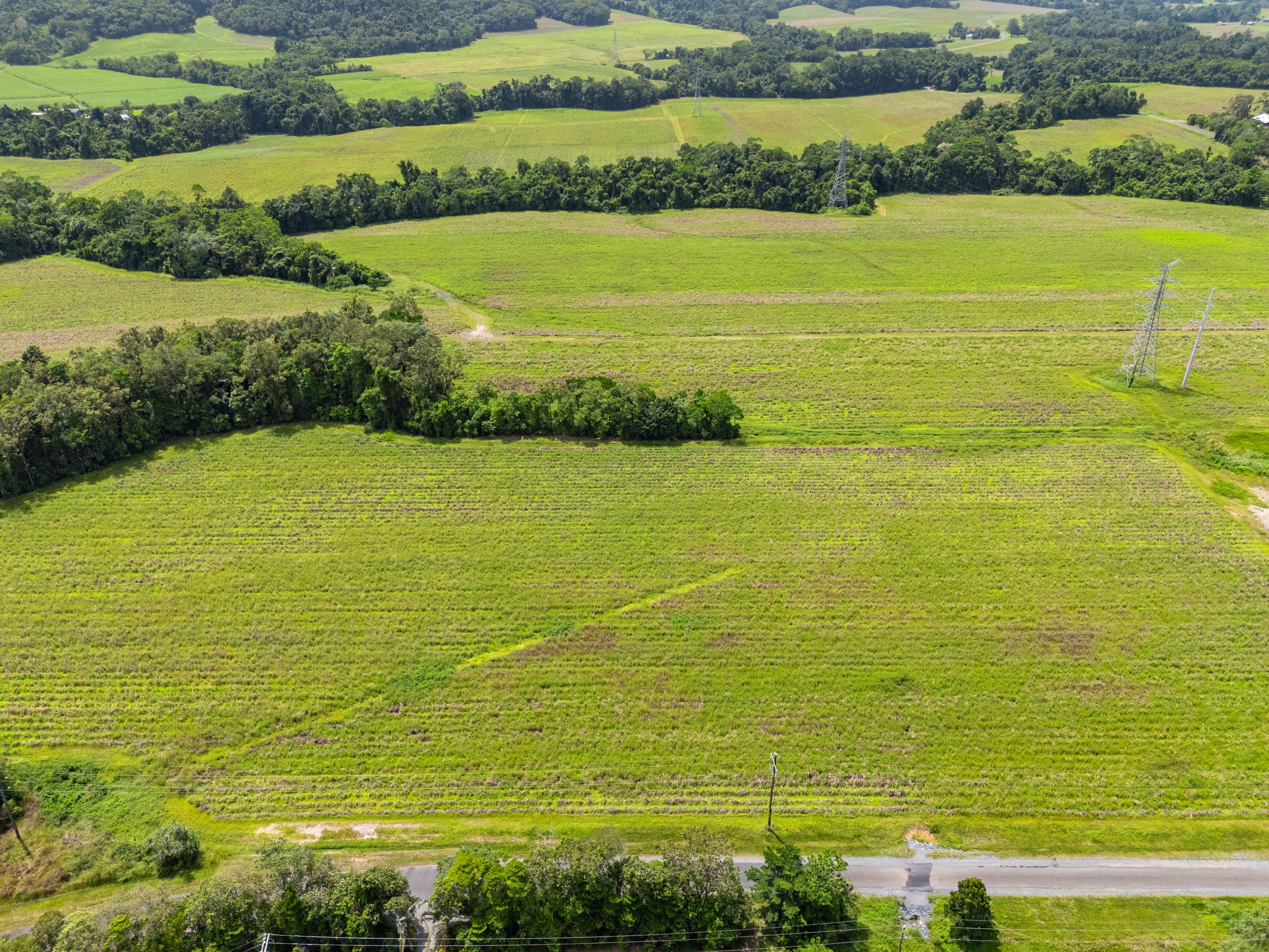 CASSOWARY ESTATE - Affordable lifestyle acreage lots — photo 19 of 23