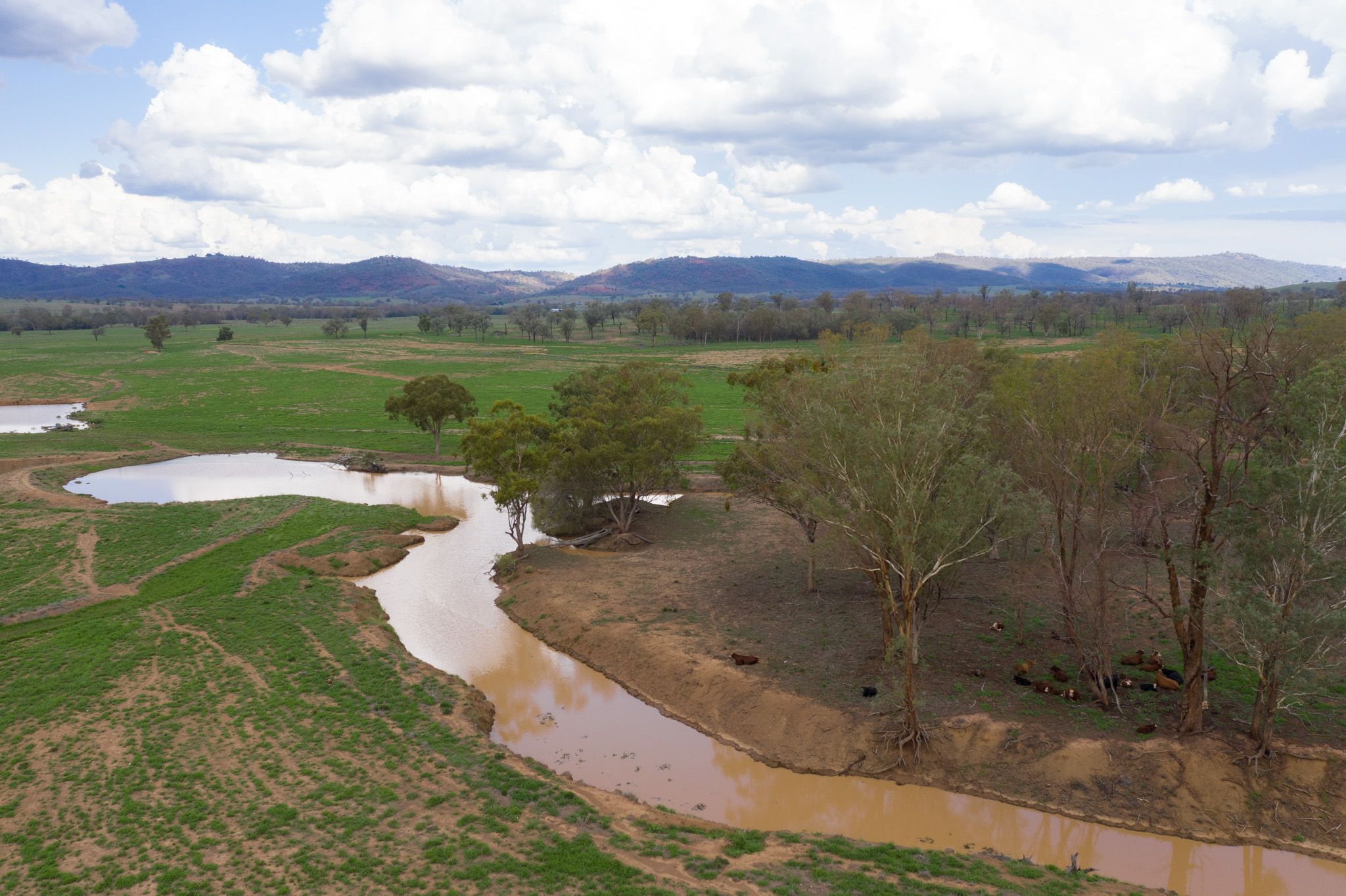 8321 Killarney Gap Road, Pallal NSW 2404