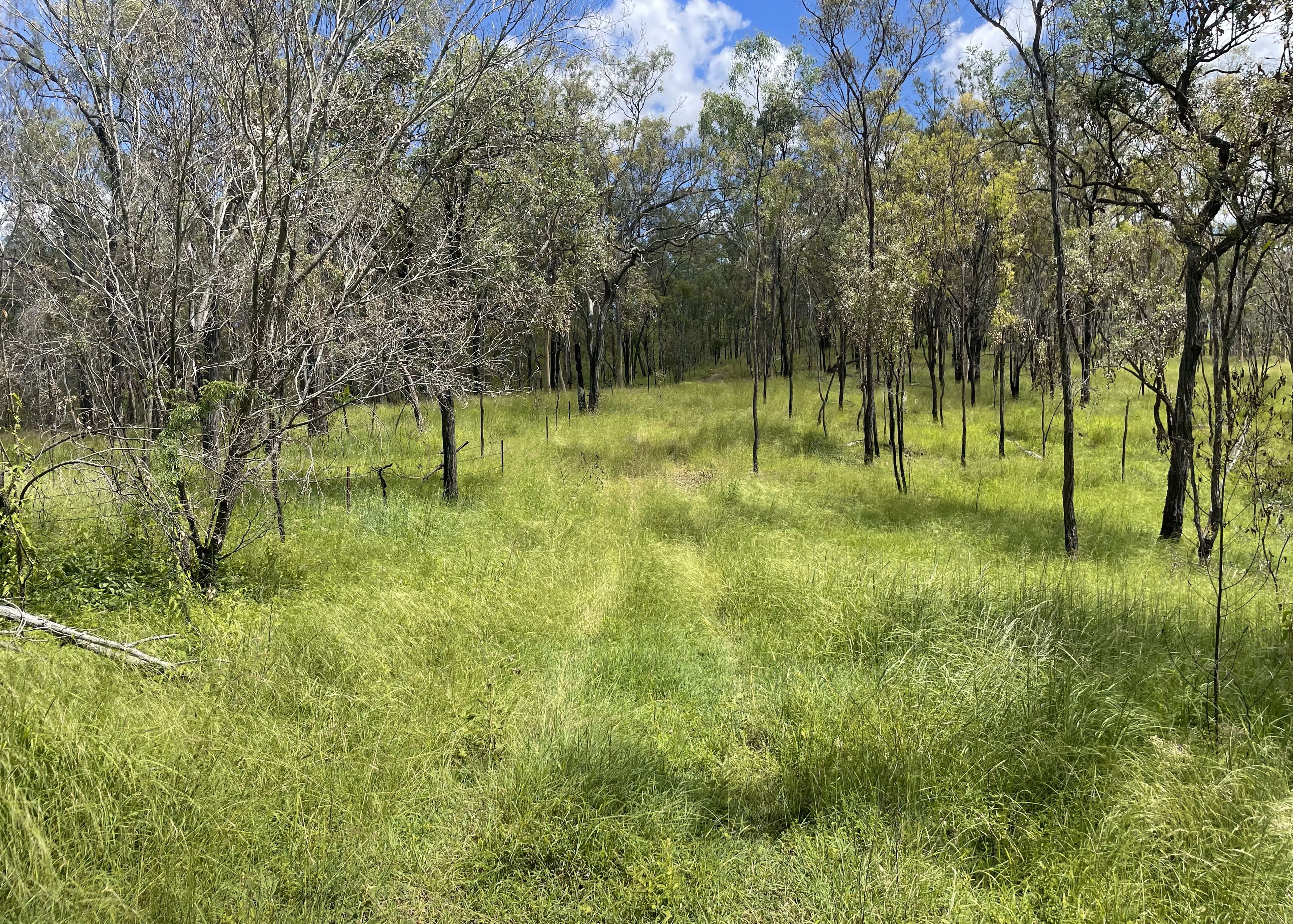 L52 Campbell Creek Road, Campbell Creek, Gayndah, QLD 4625