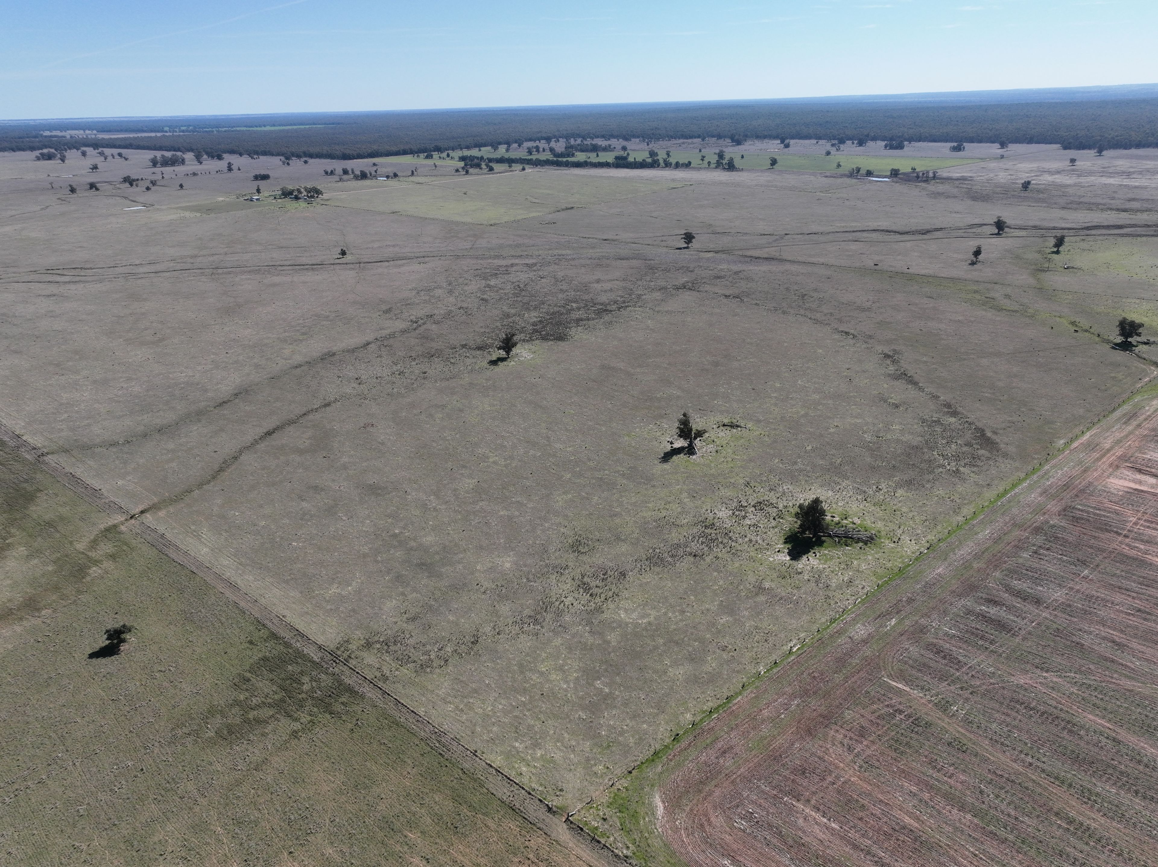 'West Tarrawonga' 56 Donnelly Road, EUMUNGERIE, NSW 2822 Rural Mixed