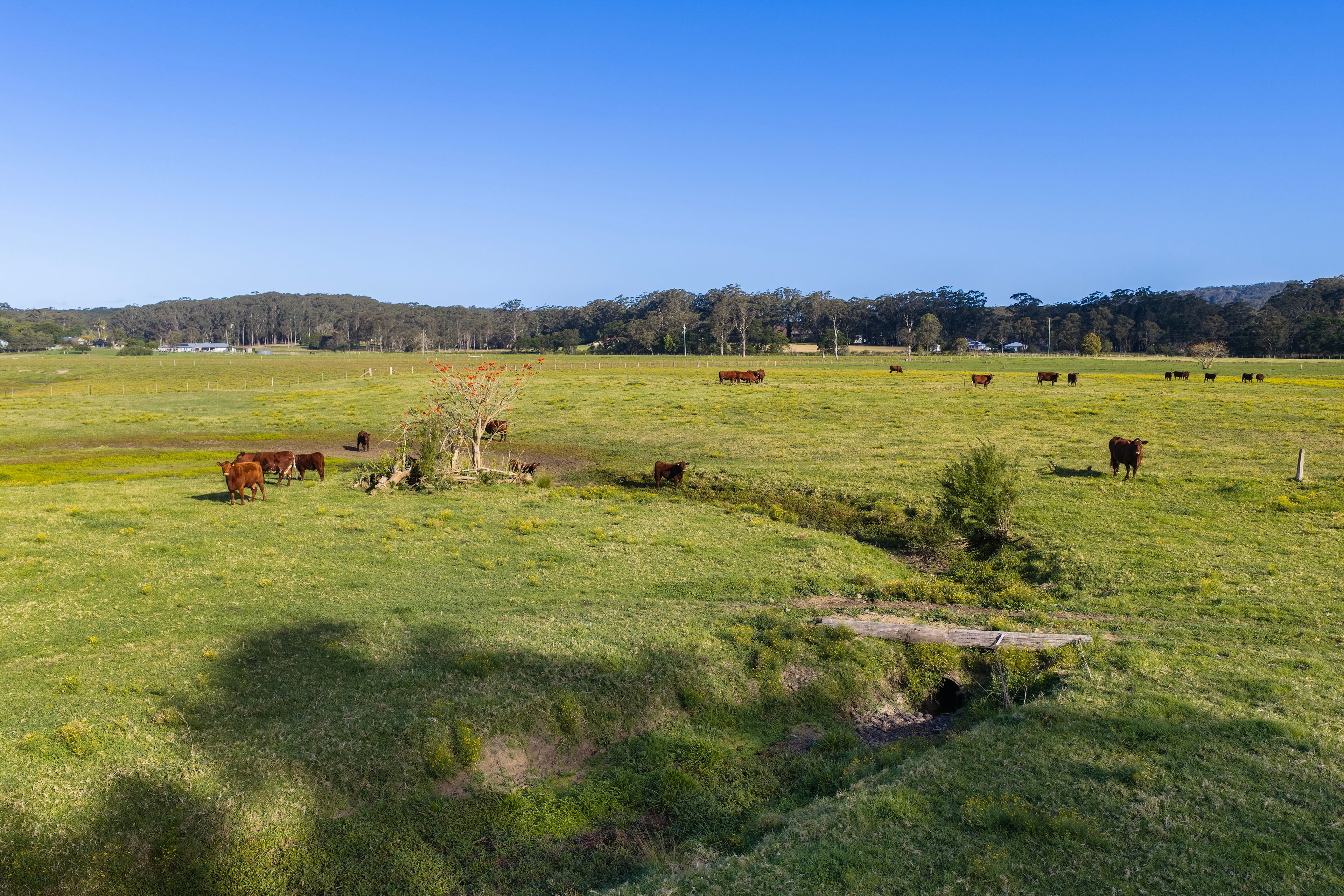 'Athelglow' A200B Princes Highway — photo 20 of 23