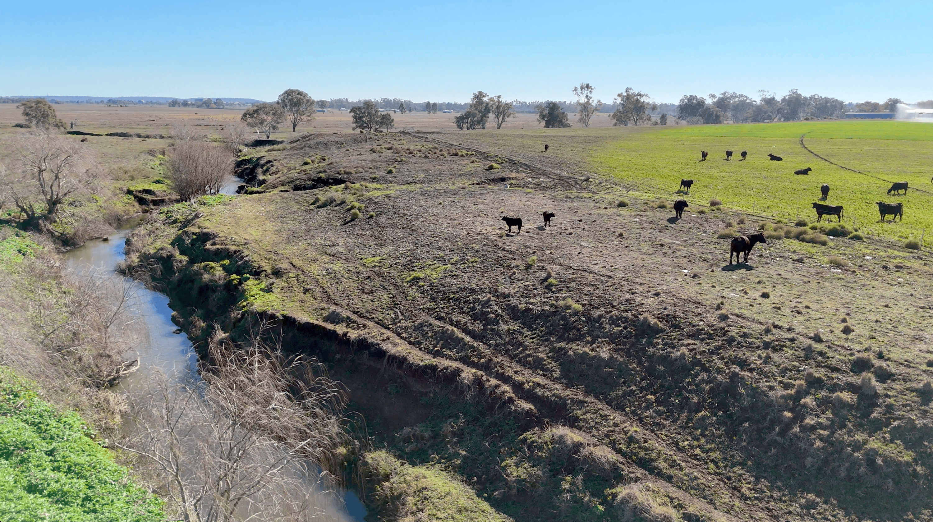 "Mountain Glen" Oakey Pittsworth Road — photo 12 of 30