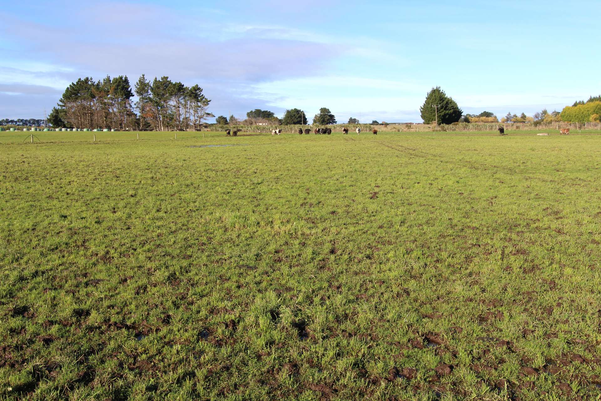 Lot 2 Oteramika Road photo 5