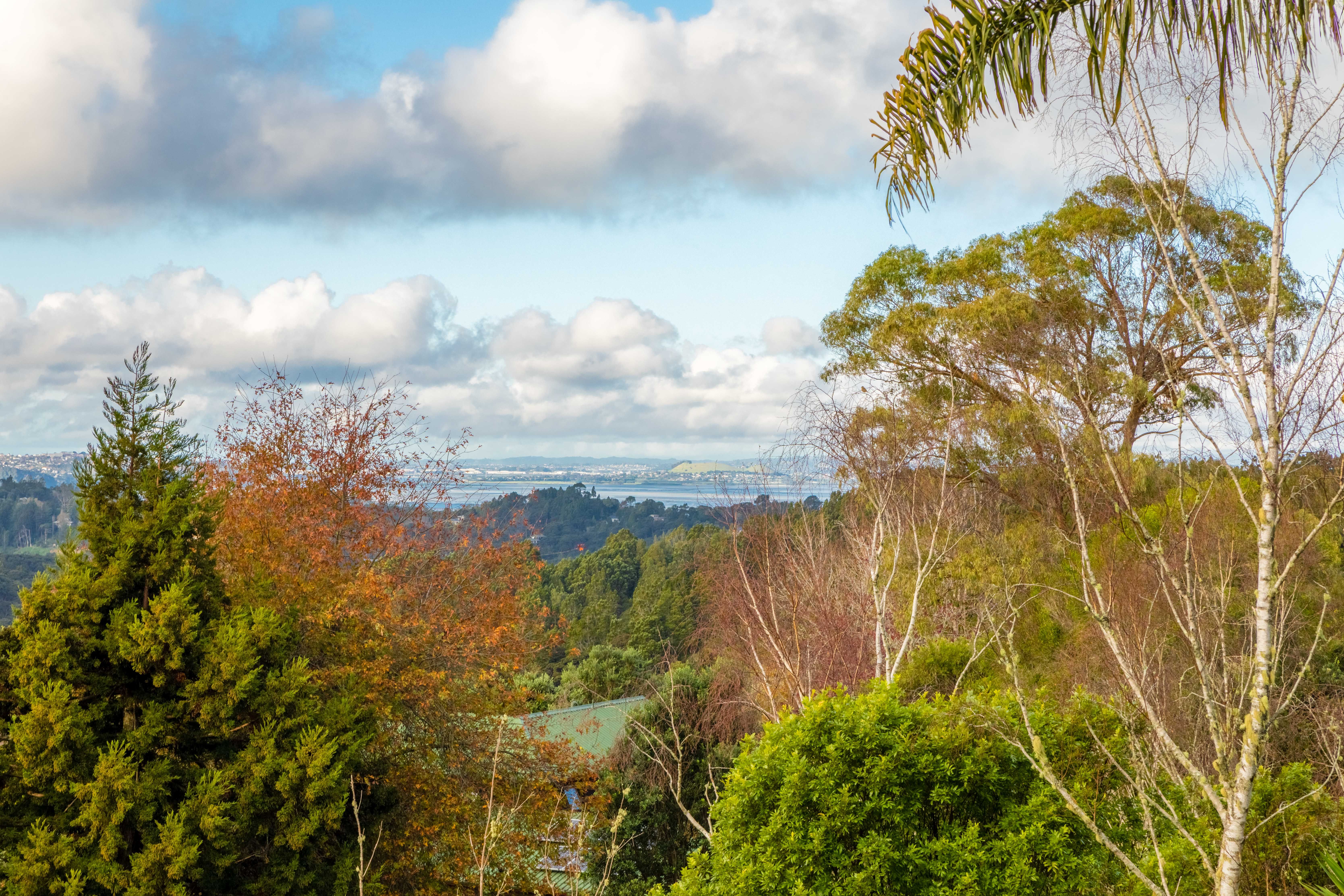 18 Laingfield Terrace, Laingholm, Waitakere City