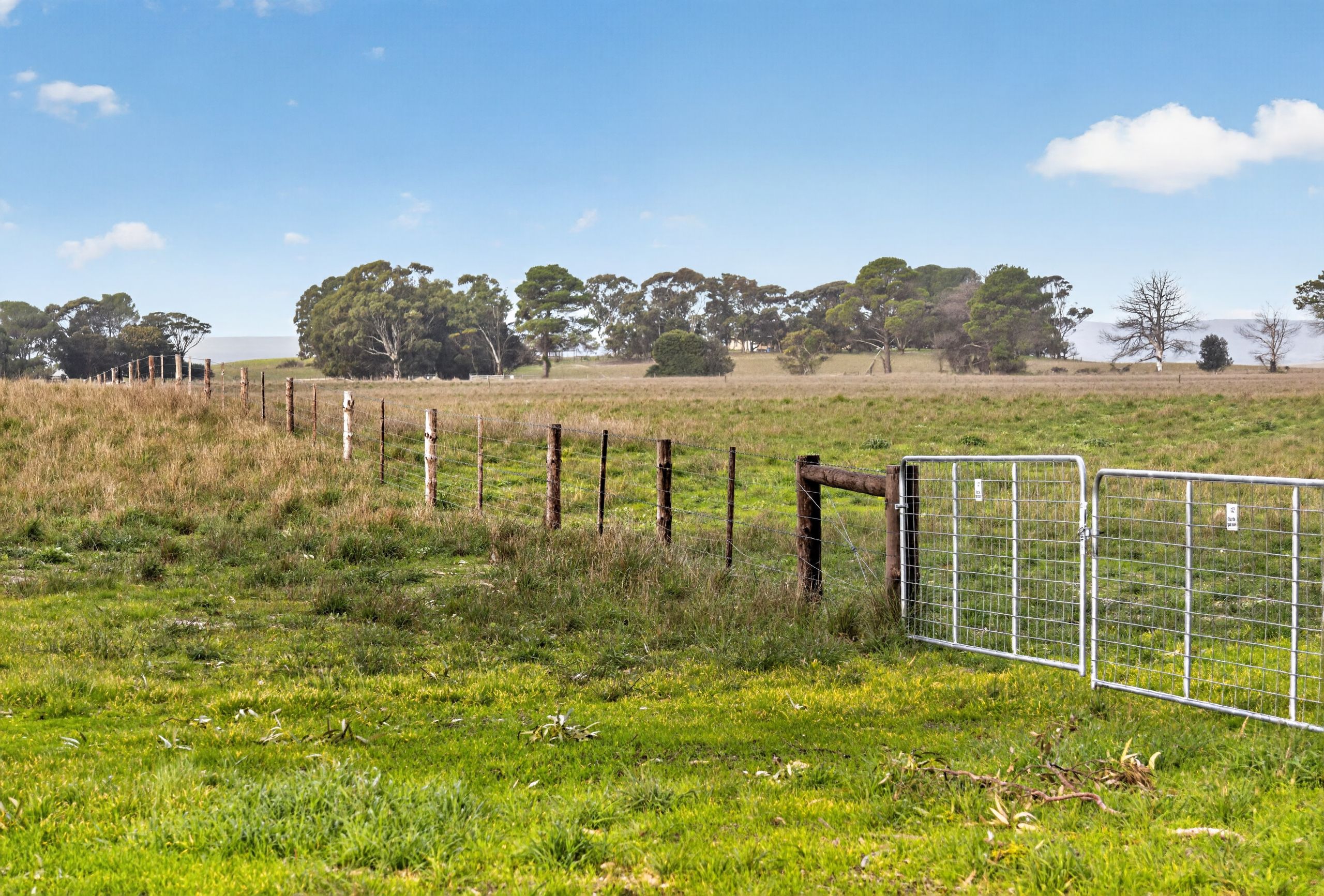 'Folly Farm' Riddell Road — photo 5 of 22