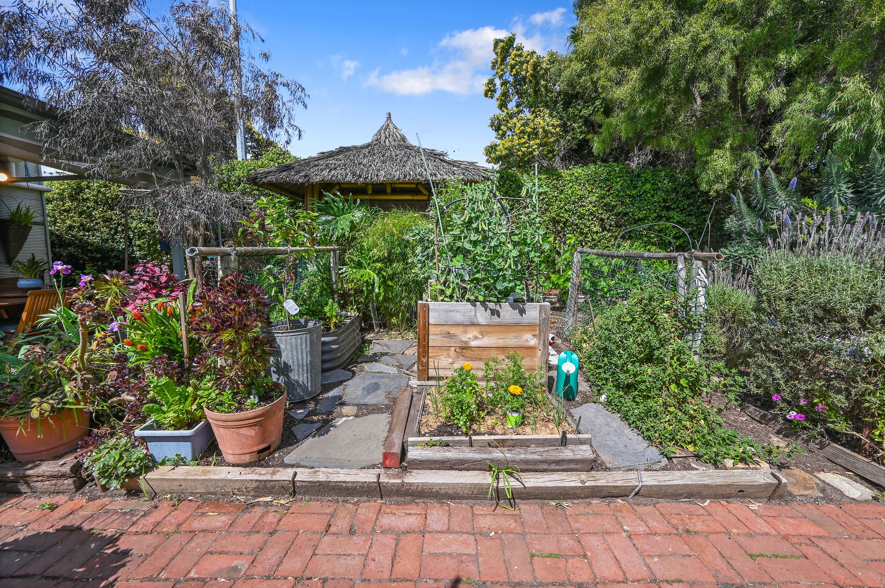 58 Harvey Street — photo 27 of 29