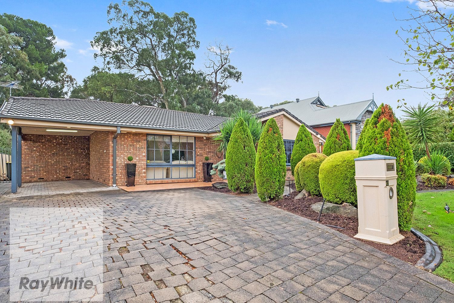 41 Watson Street, Hectorville, SA 5073