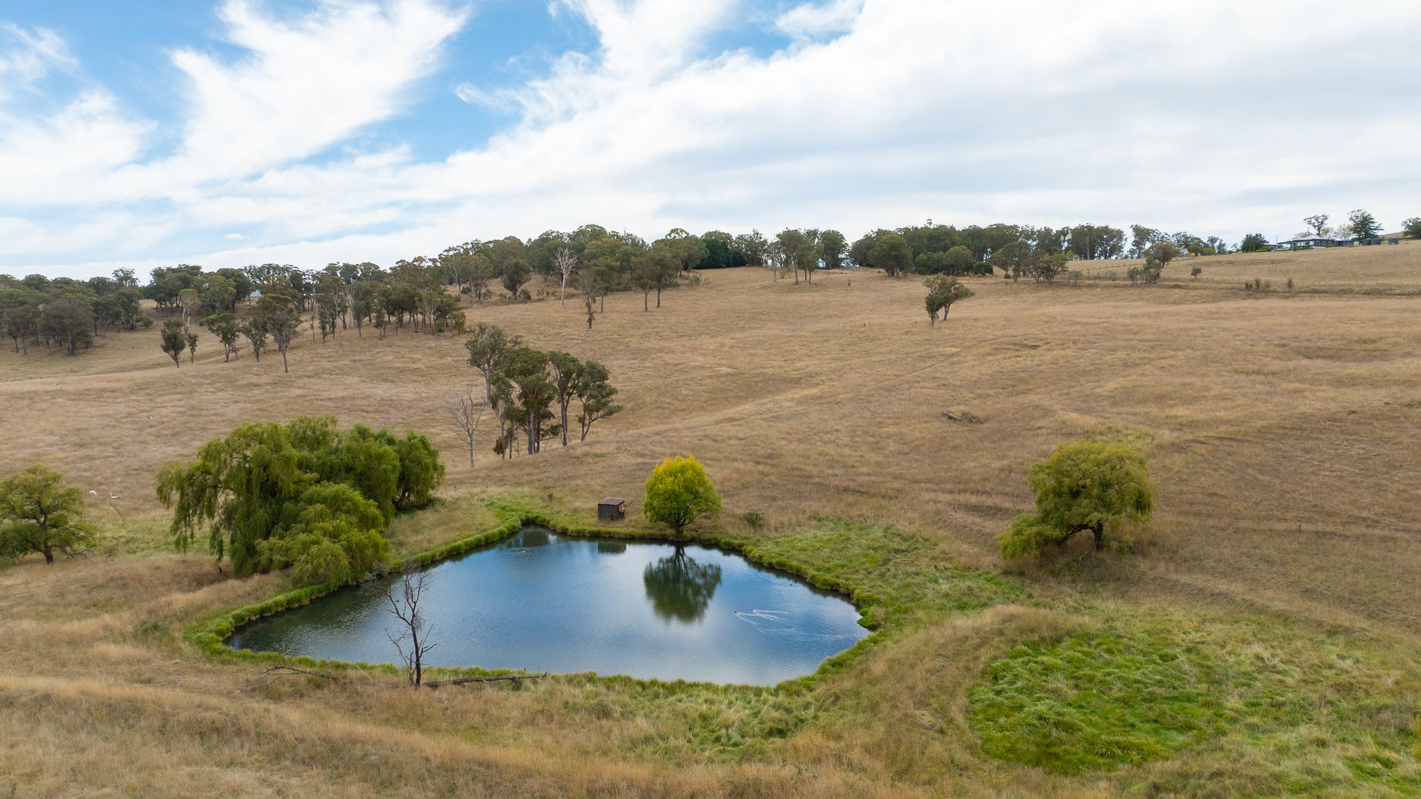 "Rose Valley" 379 Toms Gully Road, Black Mountain, NSW 2365