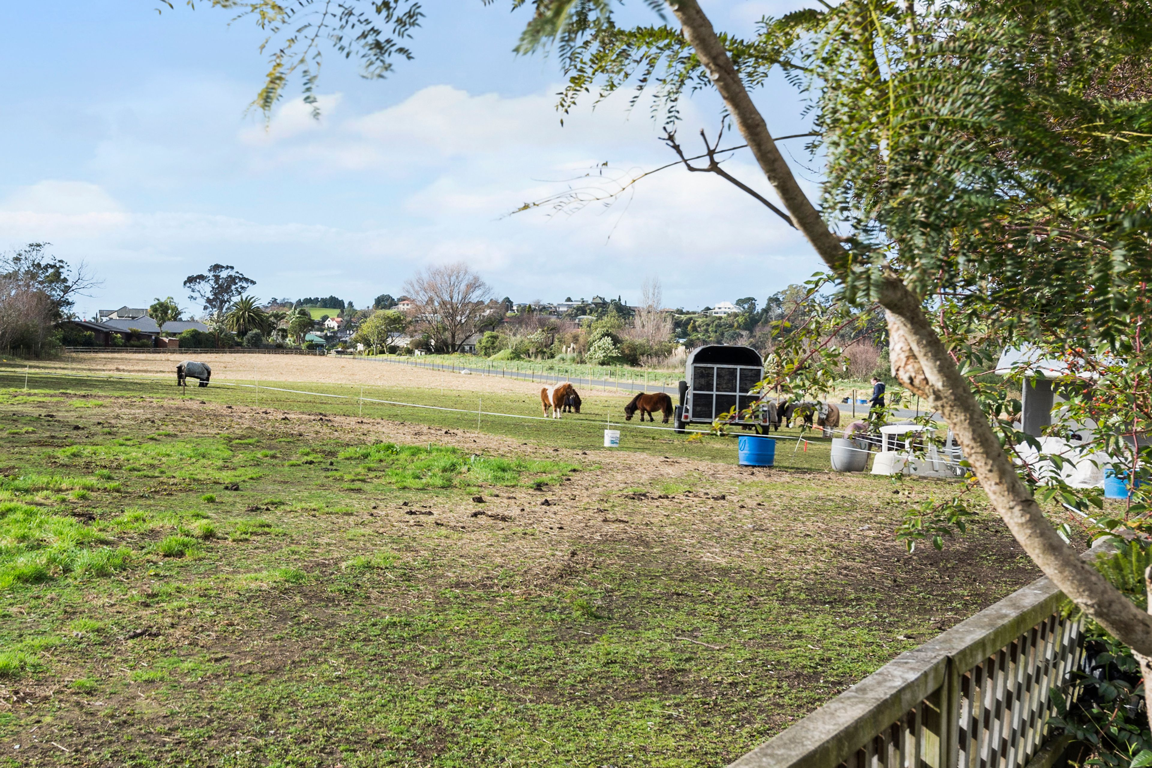 15a College Place, Poike, Tauranga City