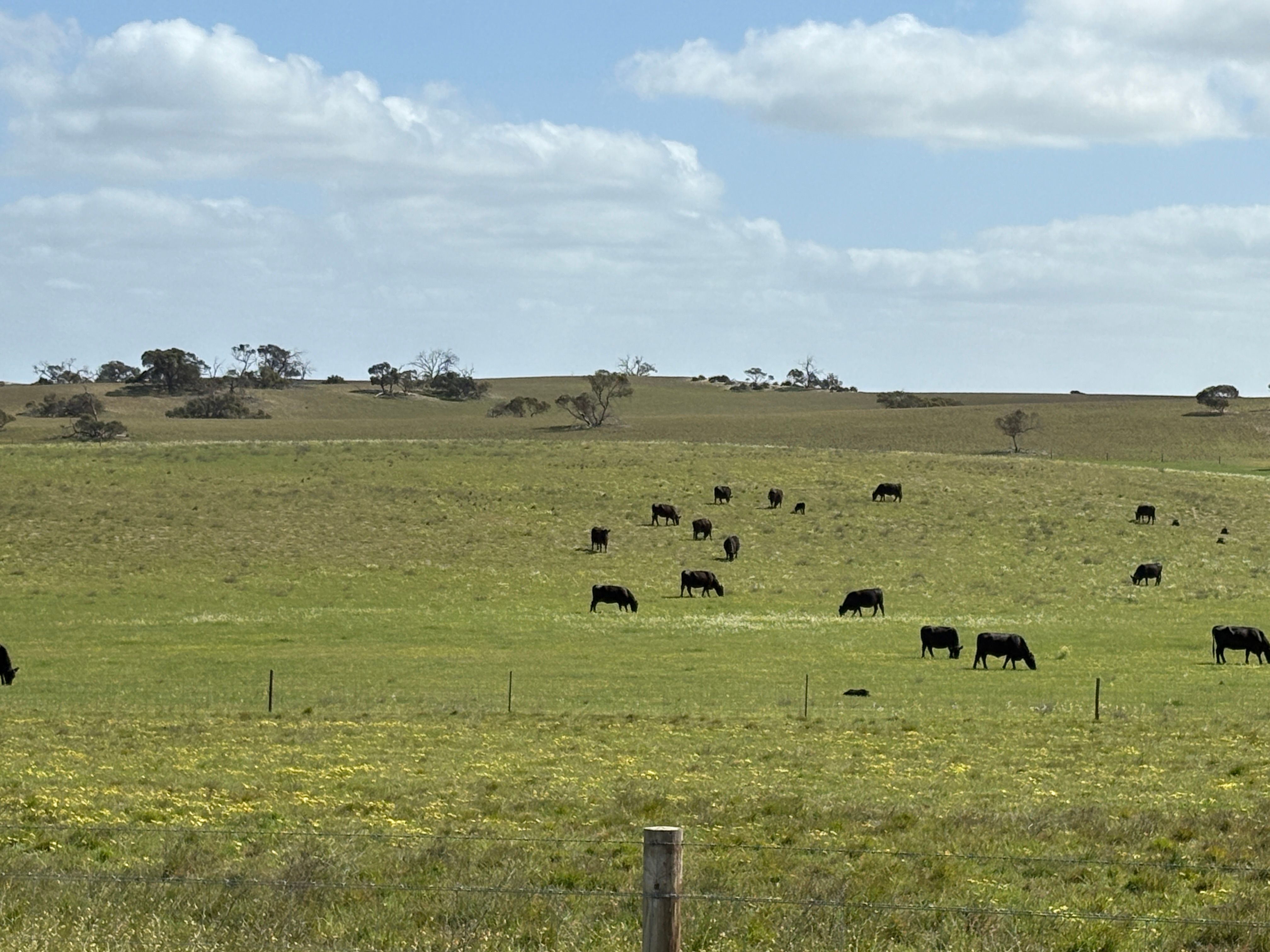 2182 Parrakie South Road, Parrakie, SA 5301