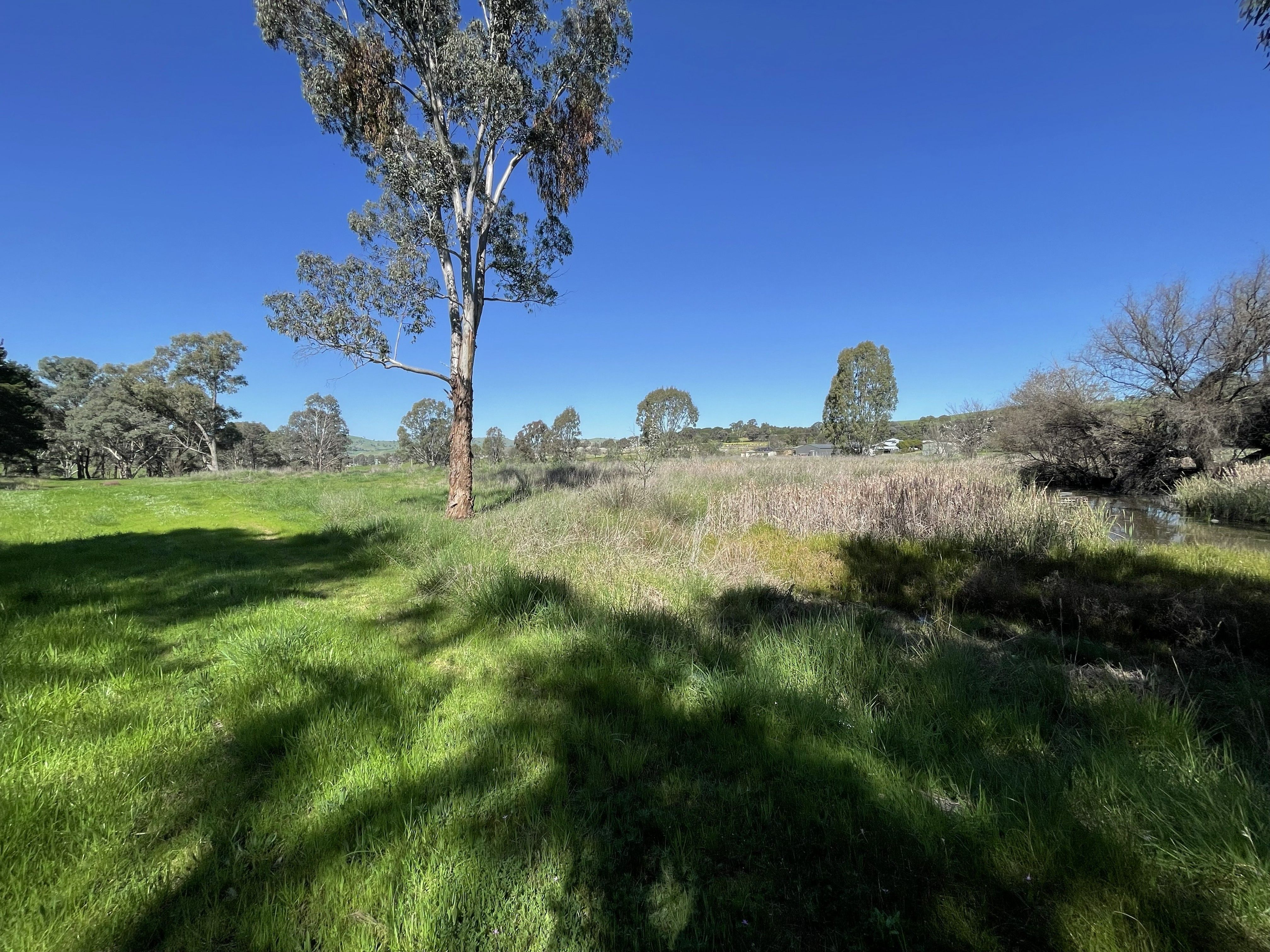 7-9B Springflat Drive — photo 7 of 12