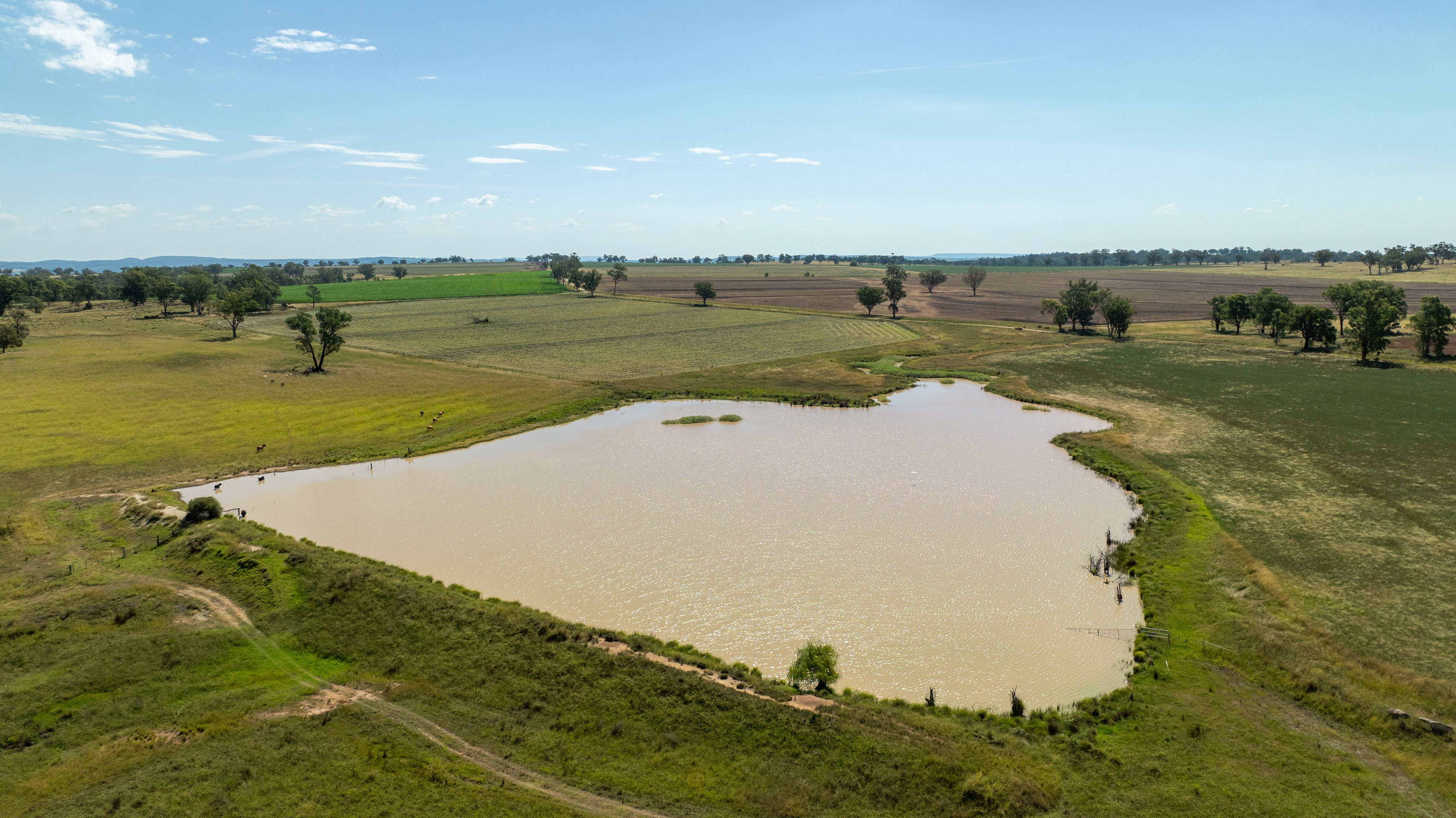 'Swinton' 661 Haywood Road, Delungra, NSW 2403