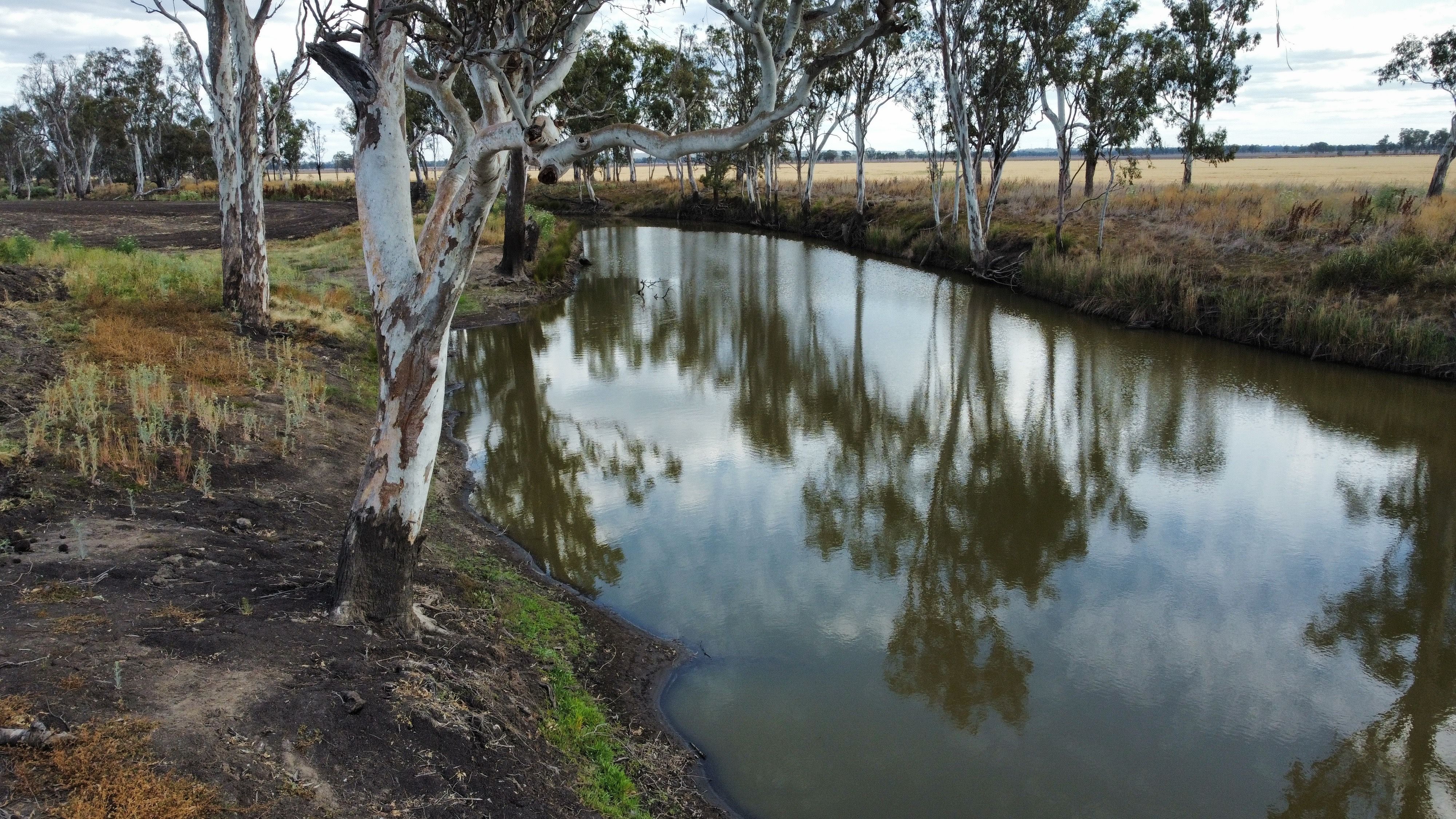 1663 Millmerran Leyburn Road, Tummaville, QLD 4352 Rural Cropping