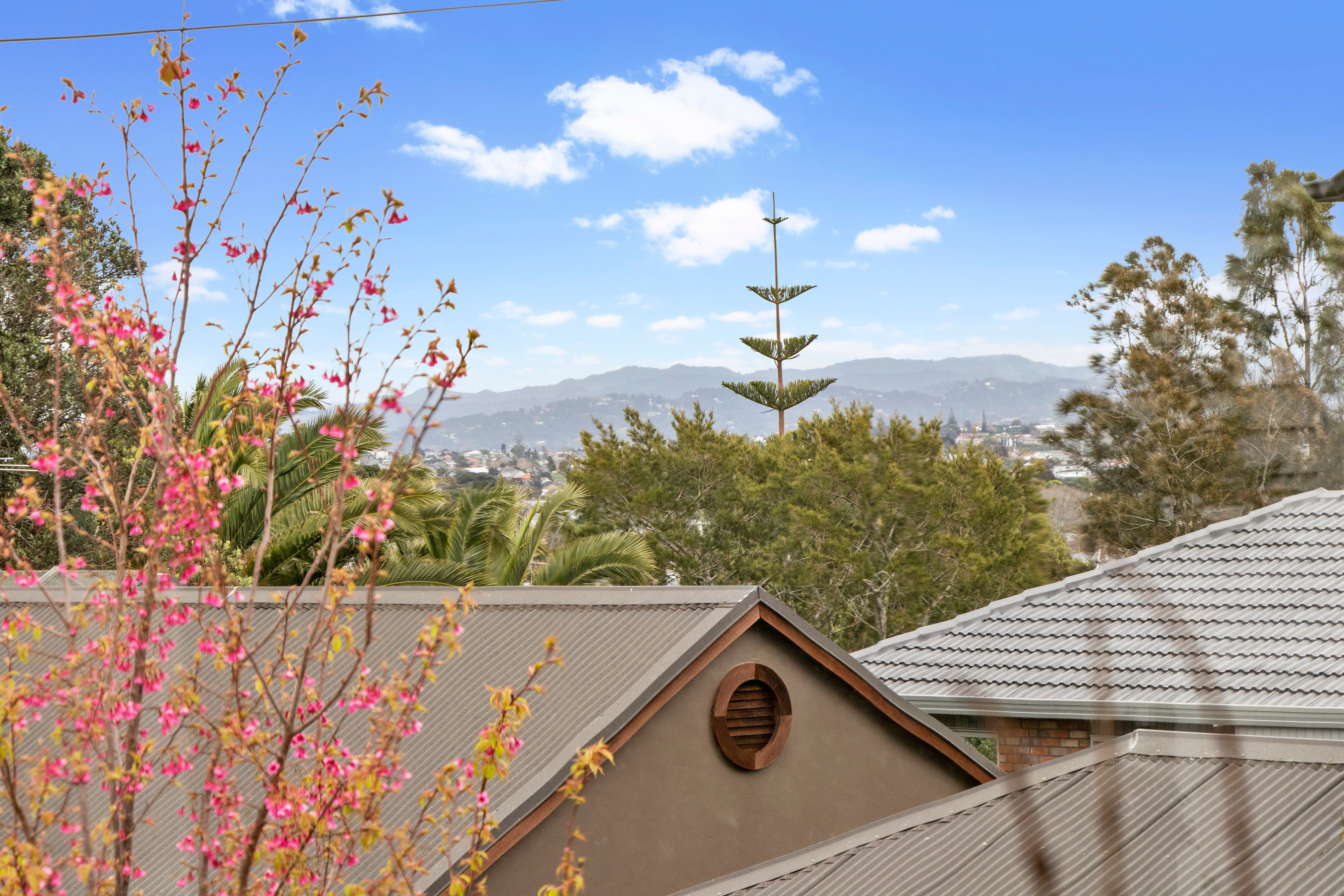 3/12 Kingsview Road, Mount Eden, Auckland City