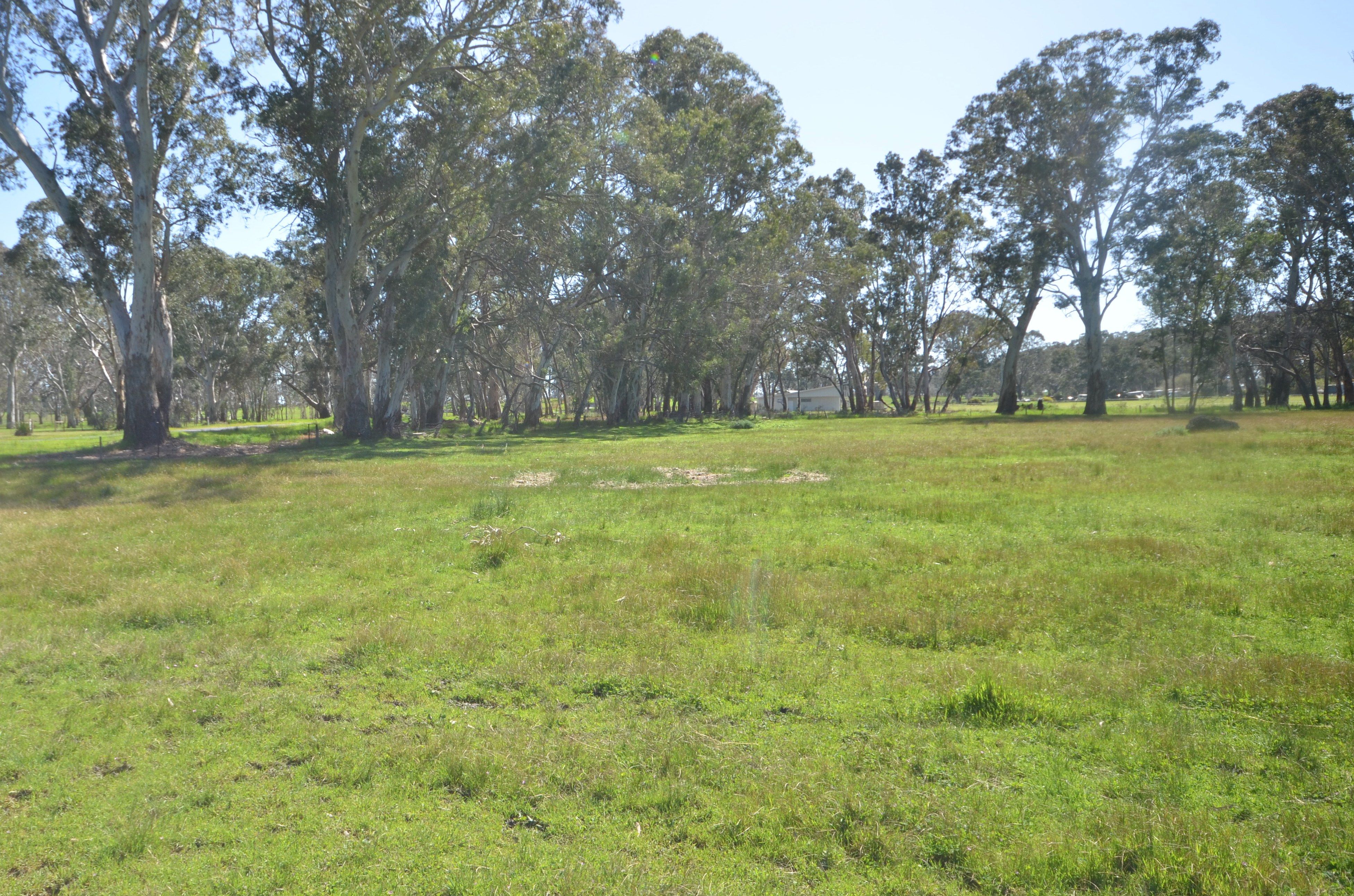 CA 10 Ballantyne Street, APSLEY, VIC 3319