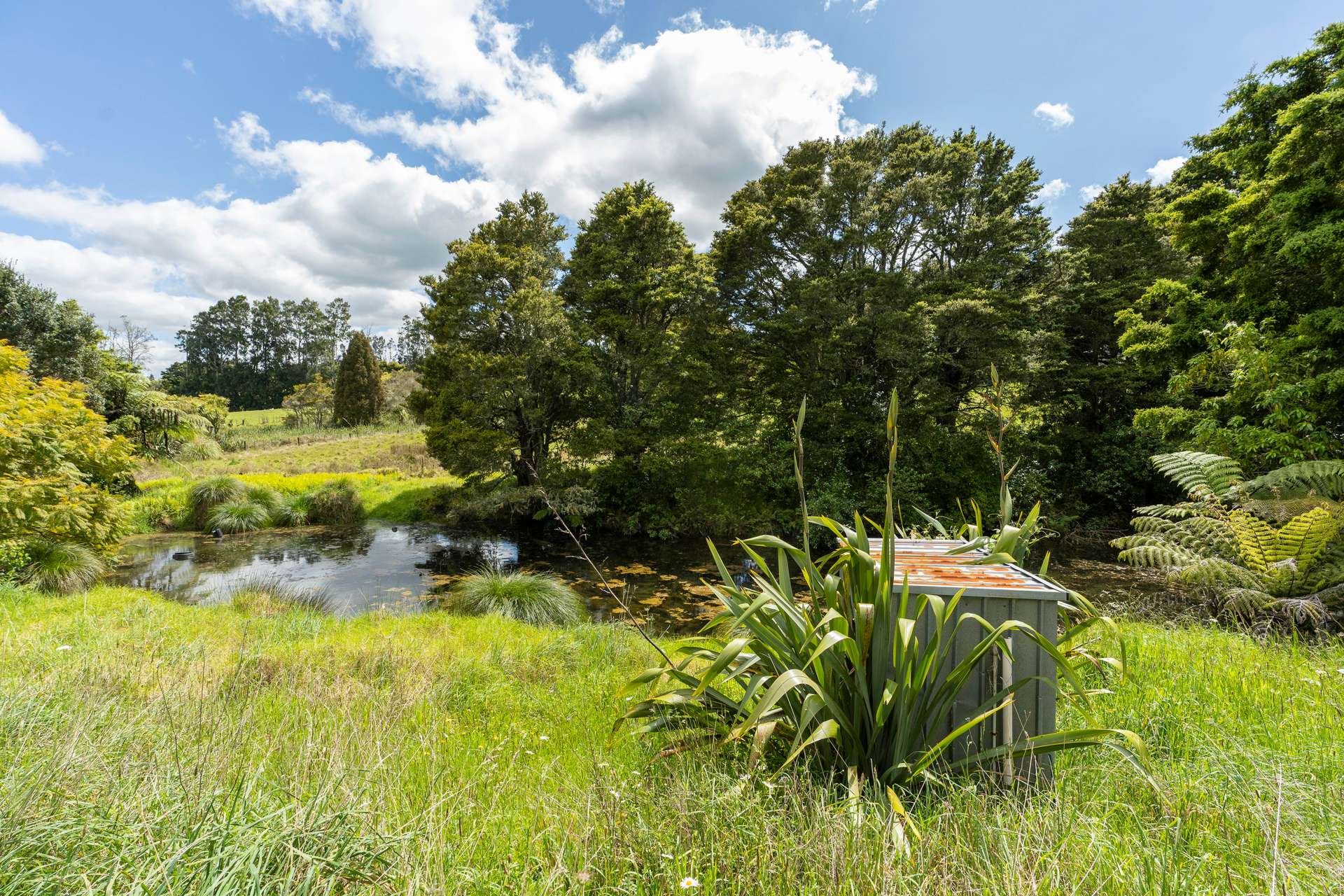 168 Tangihua Road photo 34