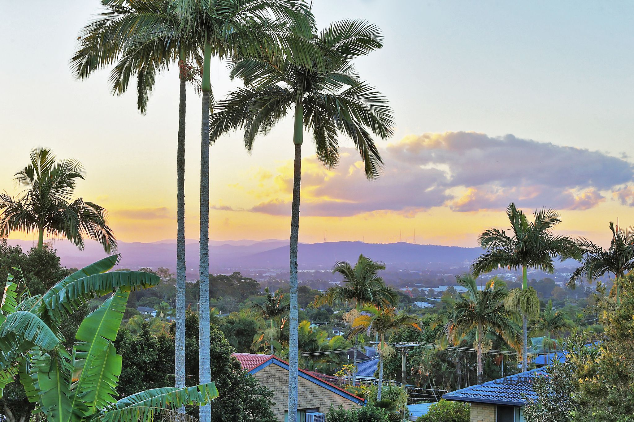 52 Chilton Street, Sunnybank Hills, QLD 4109