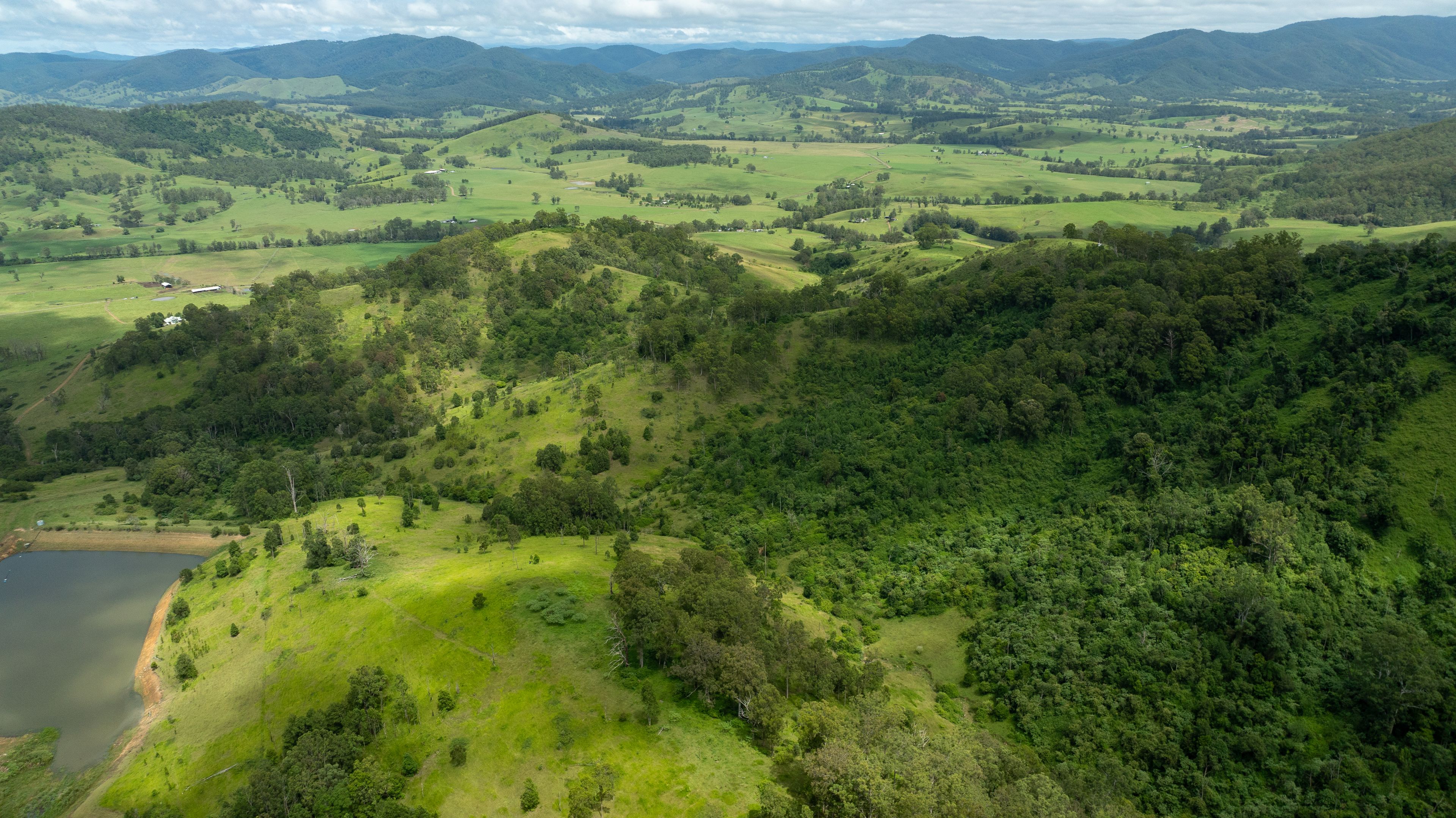 664 Bowman Farm Road, Bowman, NSW 2422 Sold Rural Mixed Farming