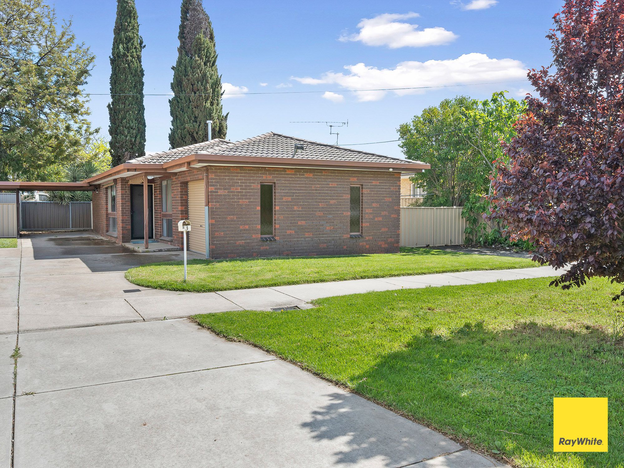 2/3 Violet Street — photo 12 of 16
