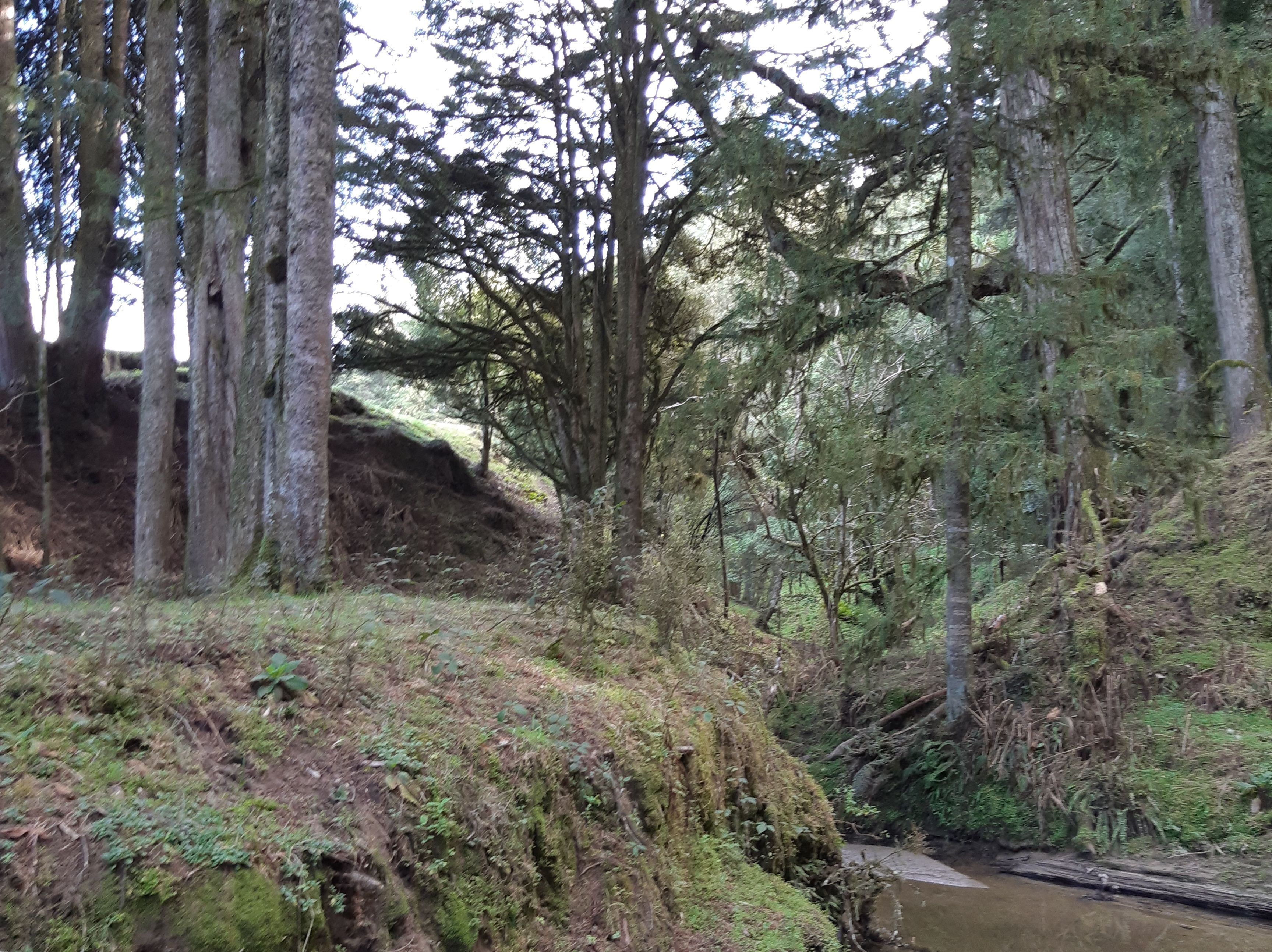 0 Kururau Road, Taumarunui, Ruapehu District