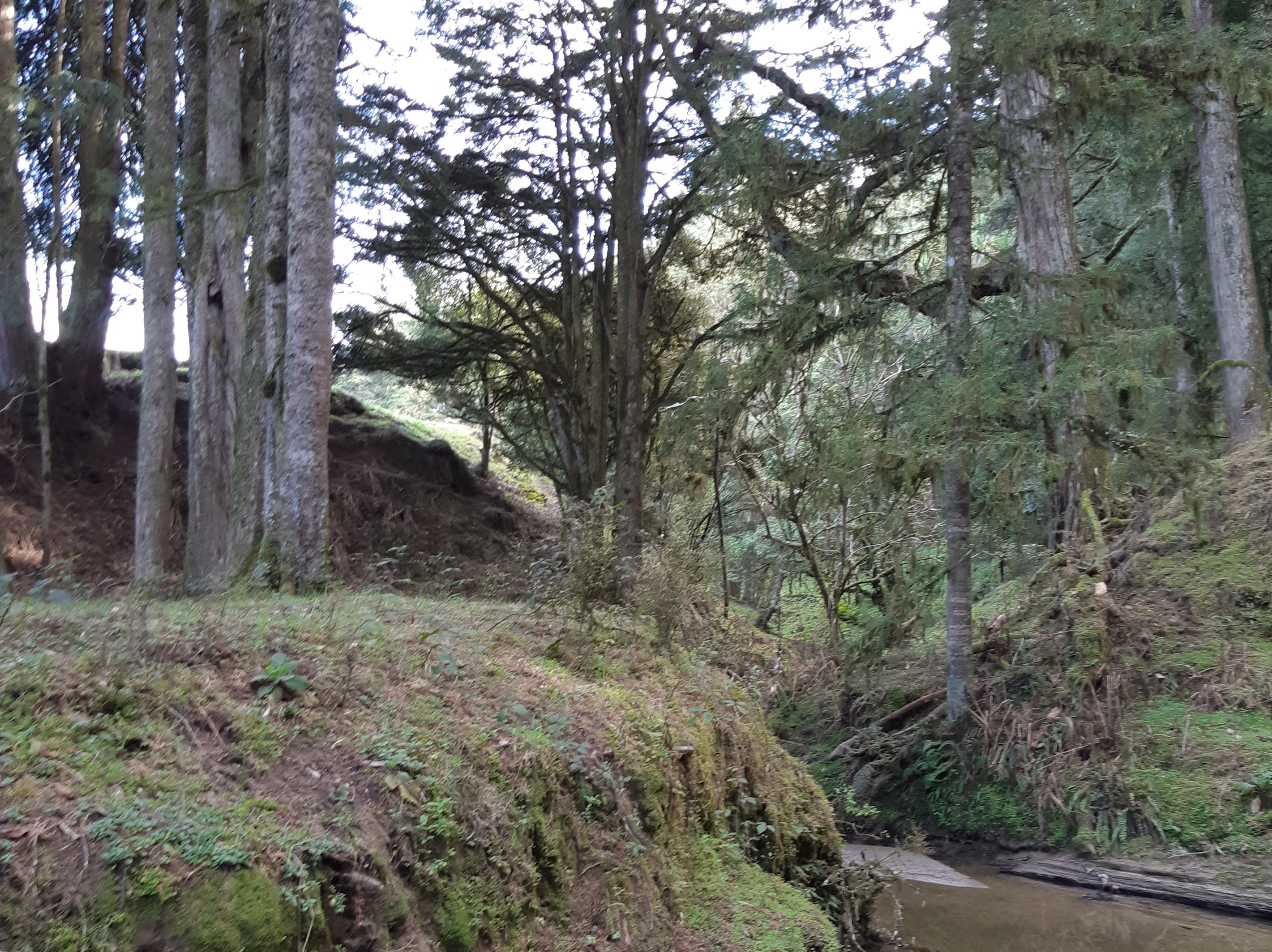 0 Kururau Road, Taumarunui, Ruapehu District