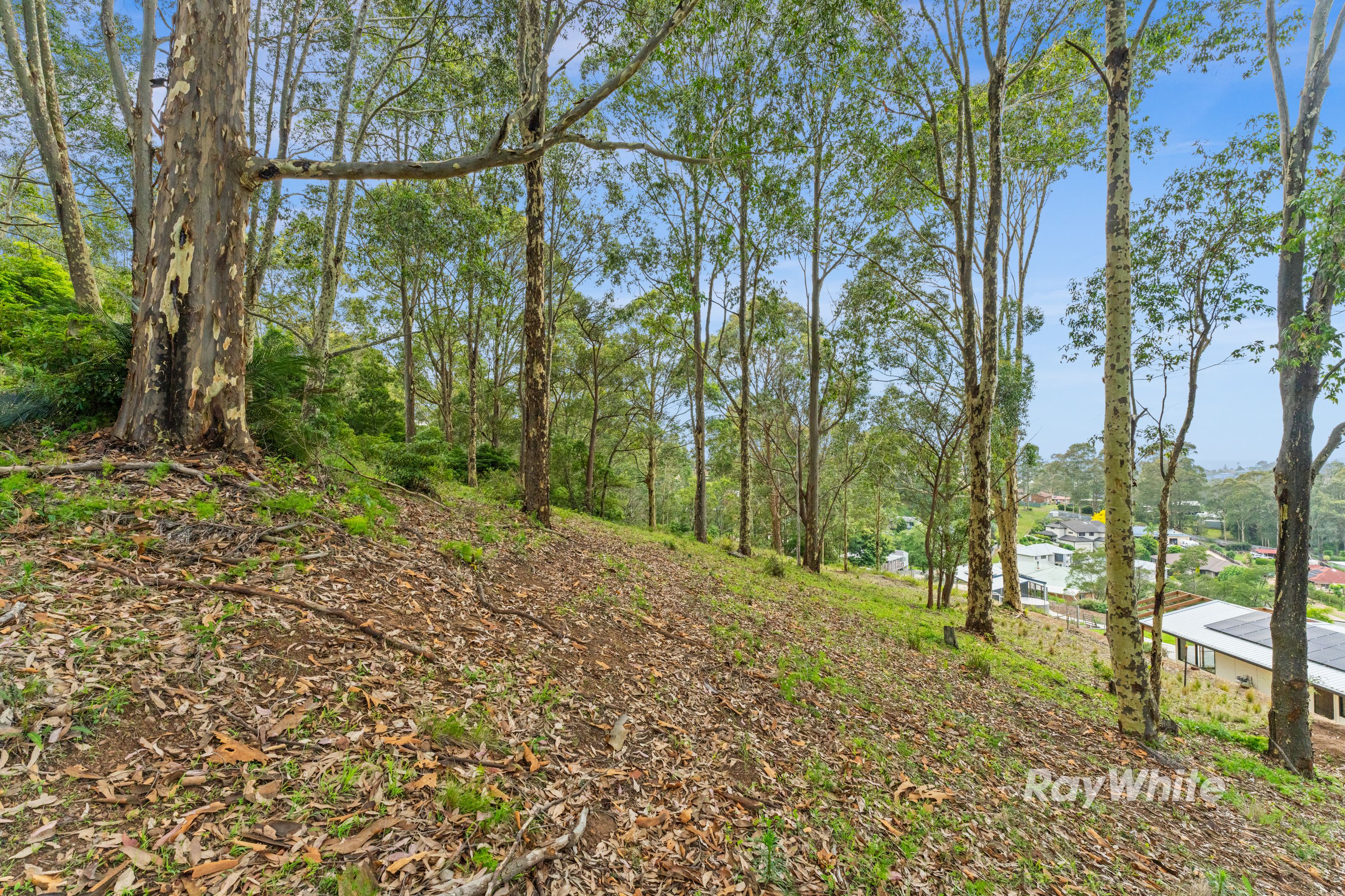 33 Berrima Street — photo 3 of 14