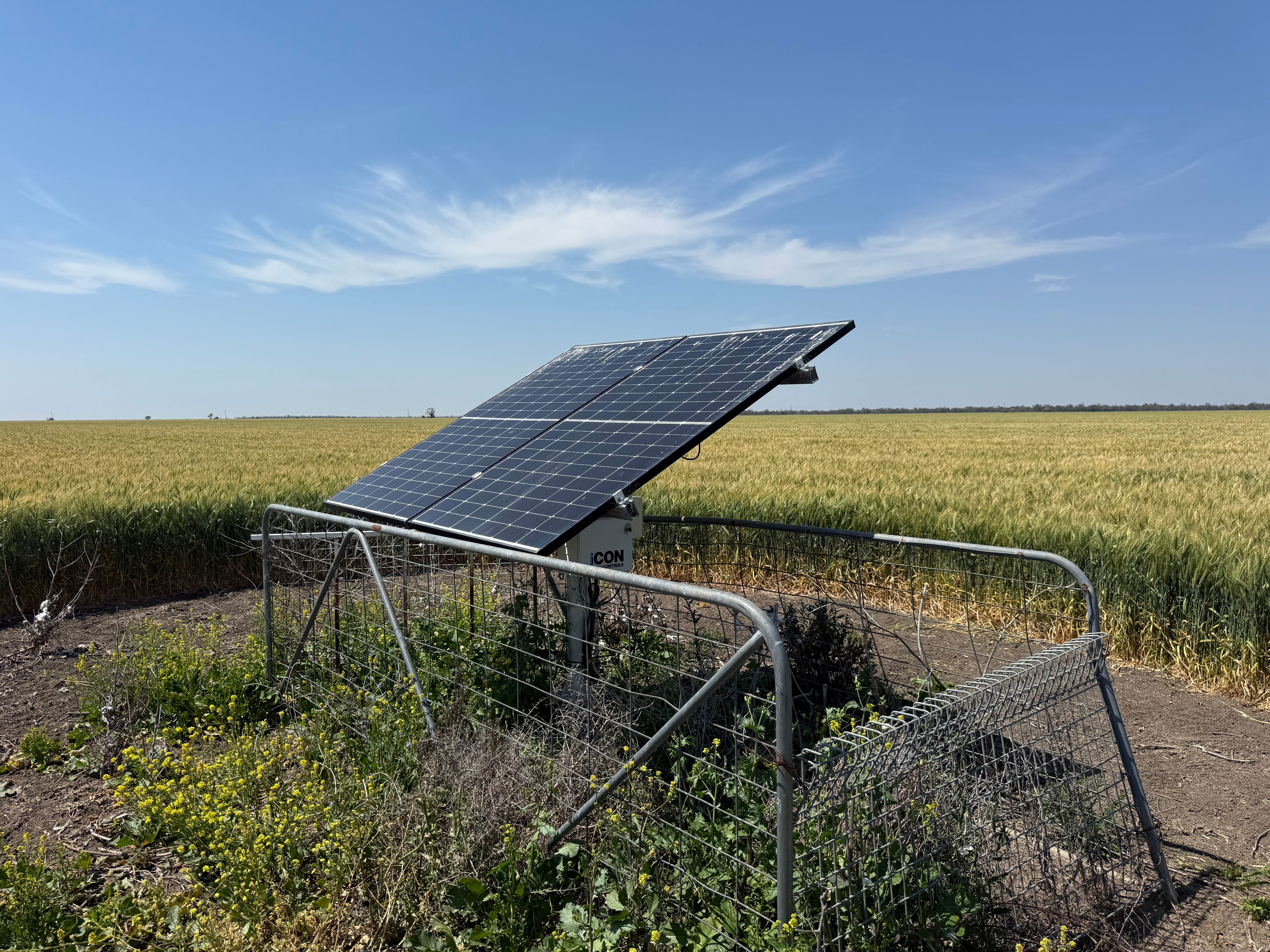 Rosedale Road, Ashley, NSW 2400