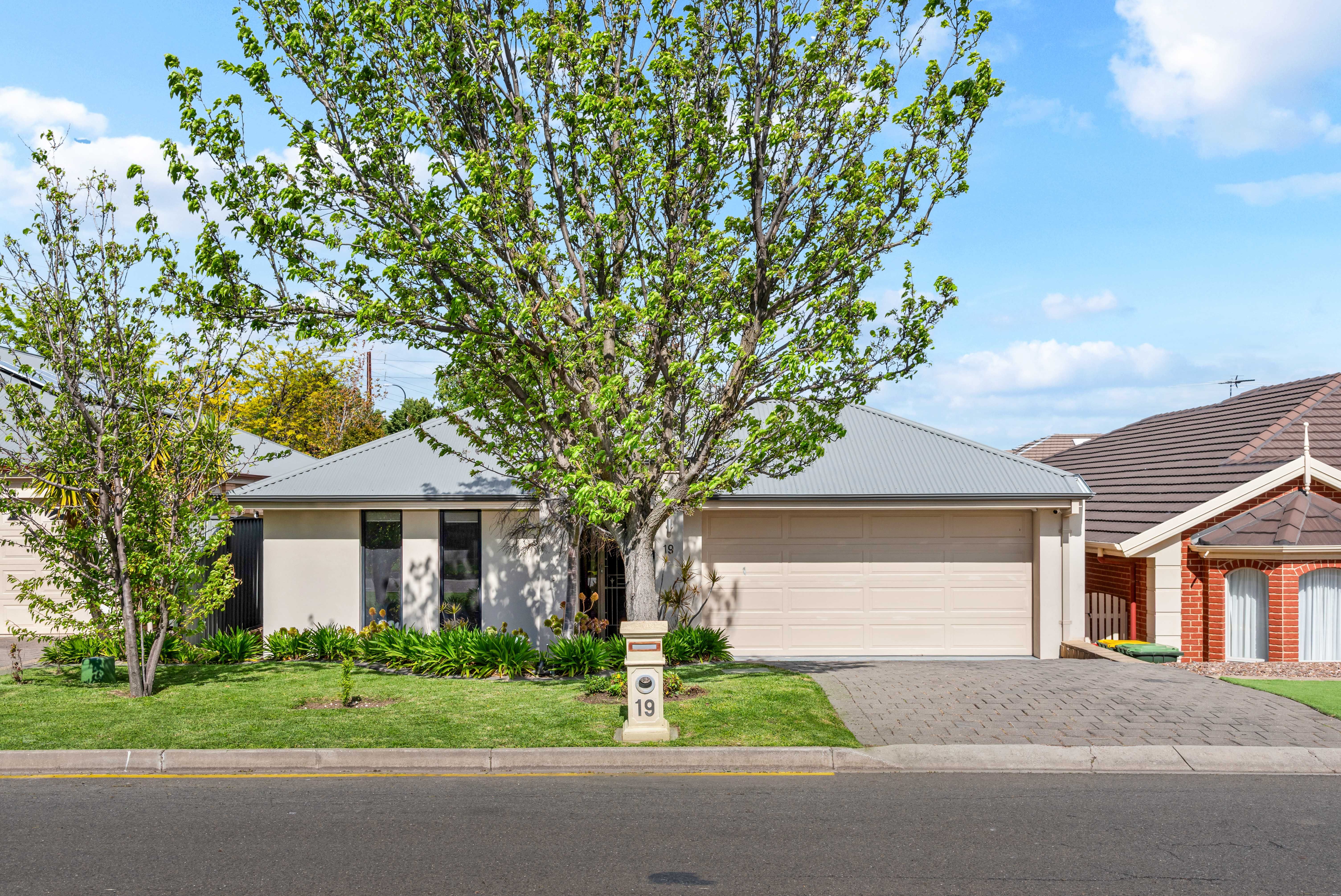 19 Acacia Grove, Flagstaff Hill SA 5159