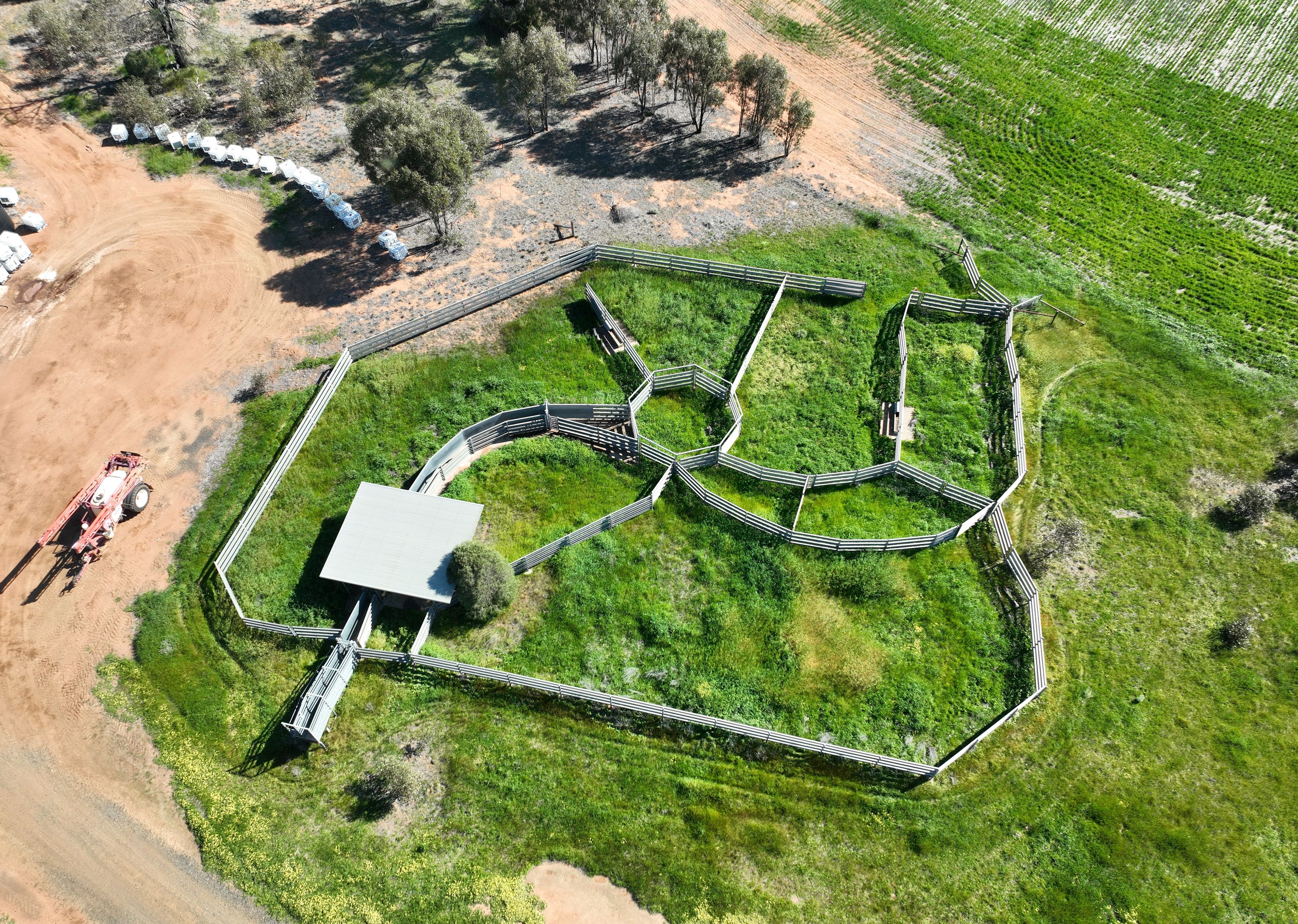 'The Pines' 211 Dicks Camp Road — photo 6 of 17